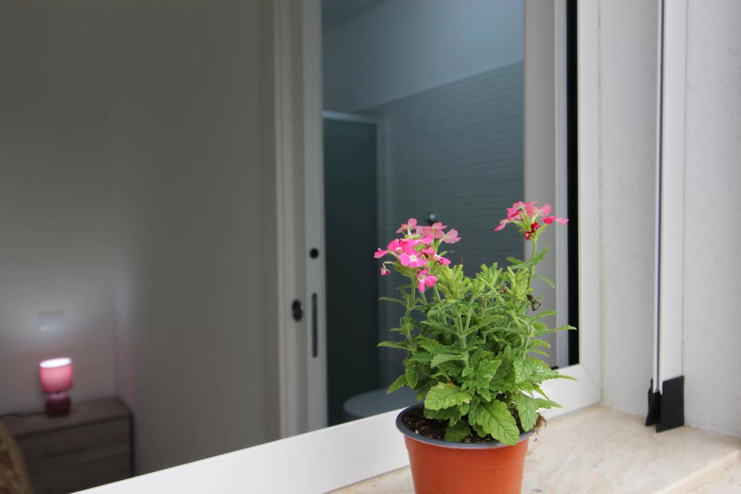 Garden in BED & BREAKFAST VAL di ERICE