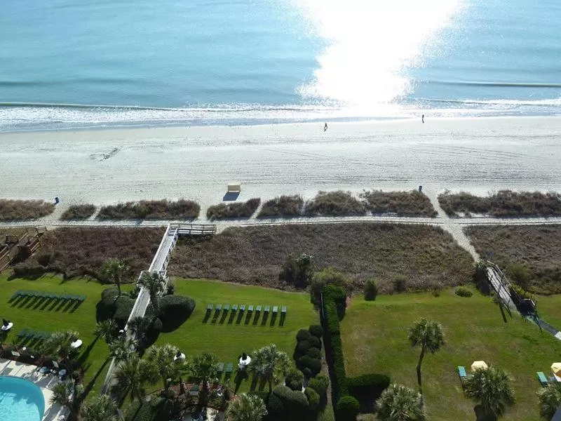 Natural landscape in Suites at the Beach