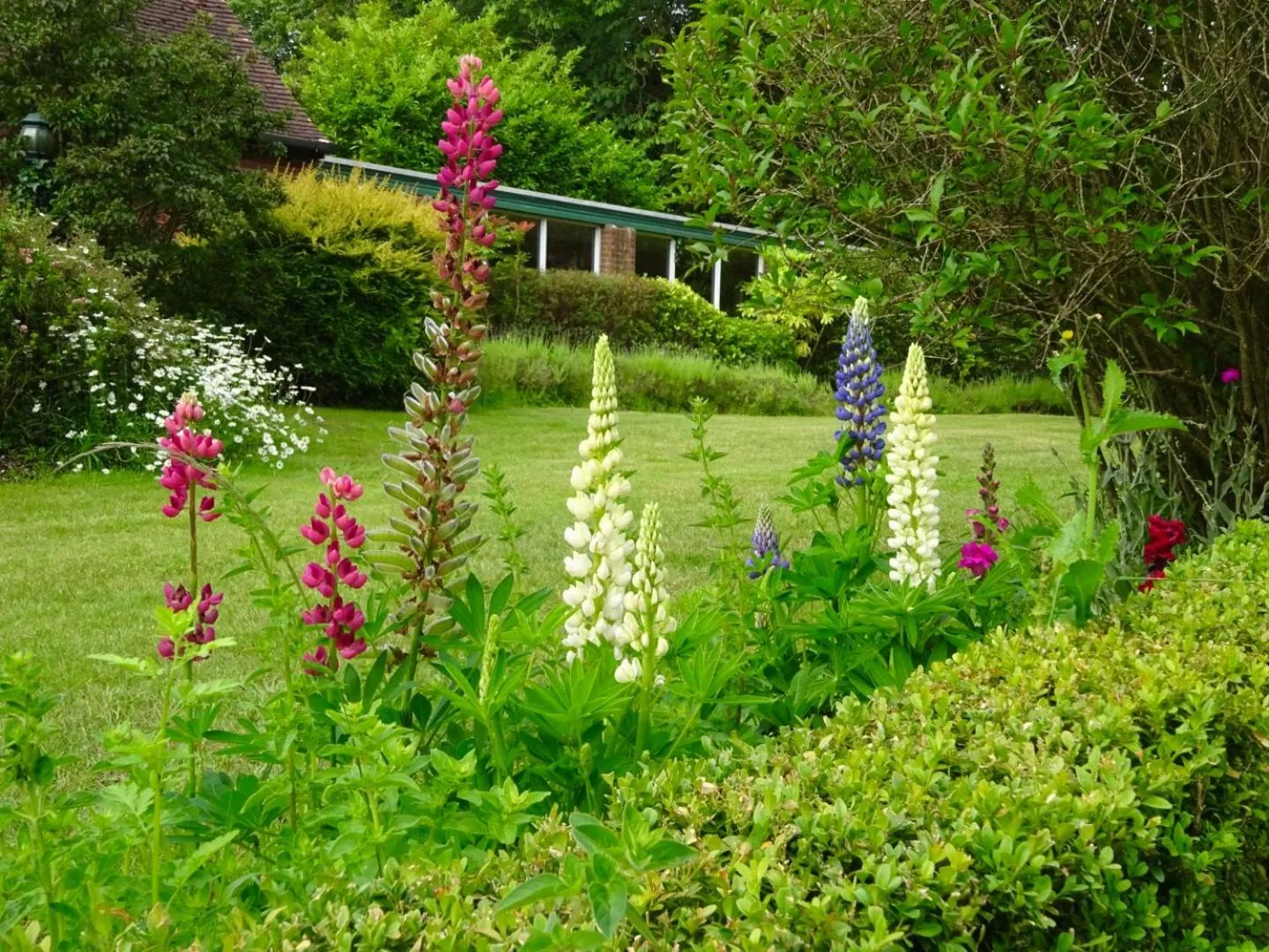 Garden in Passford House Hotel
