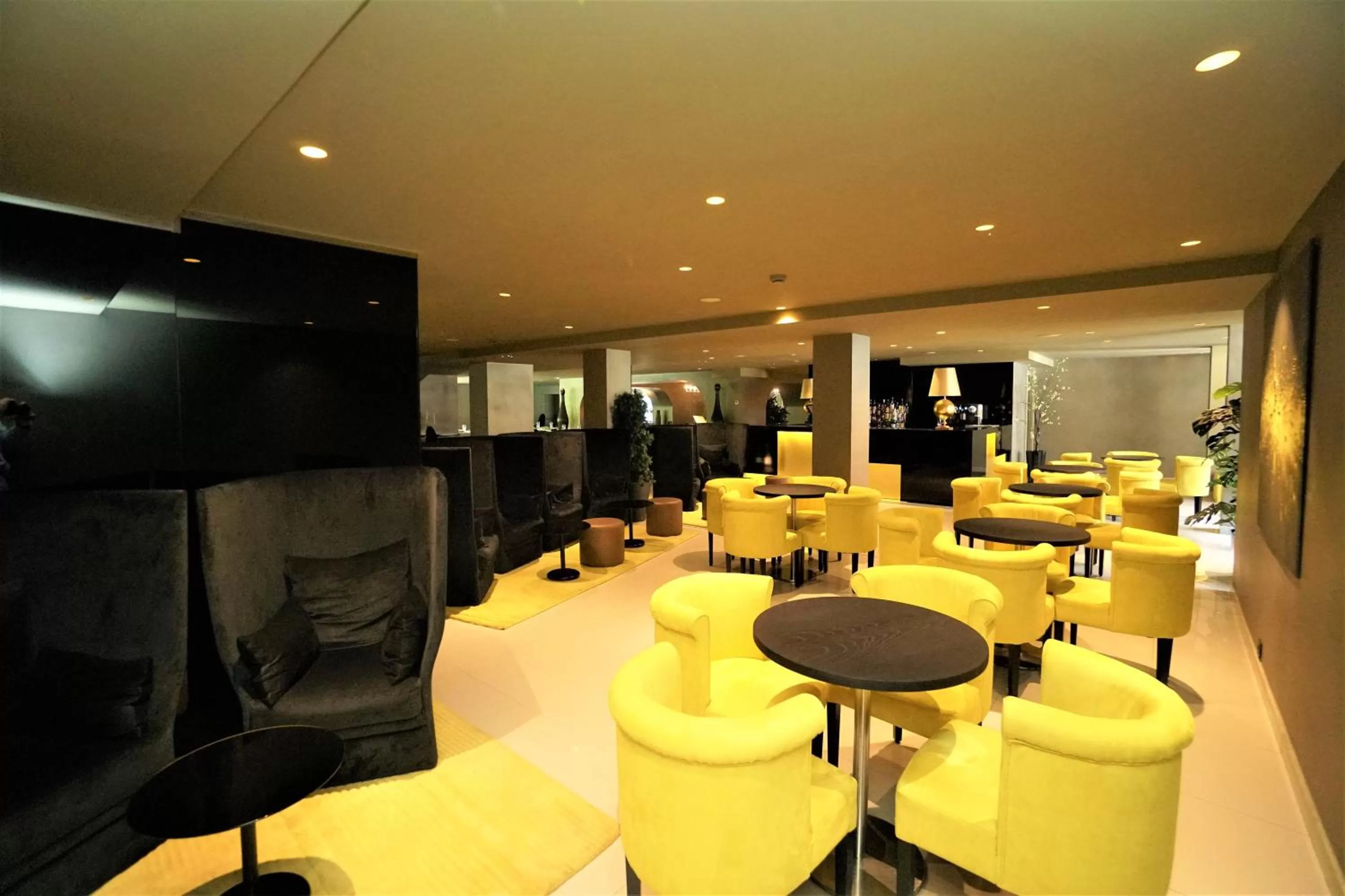 Lounge or bar in Hotel & SPA Bringué