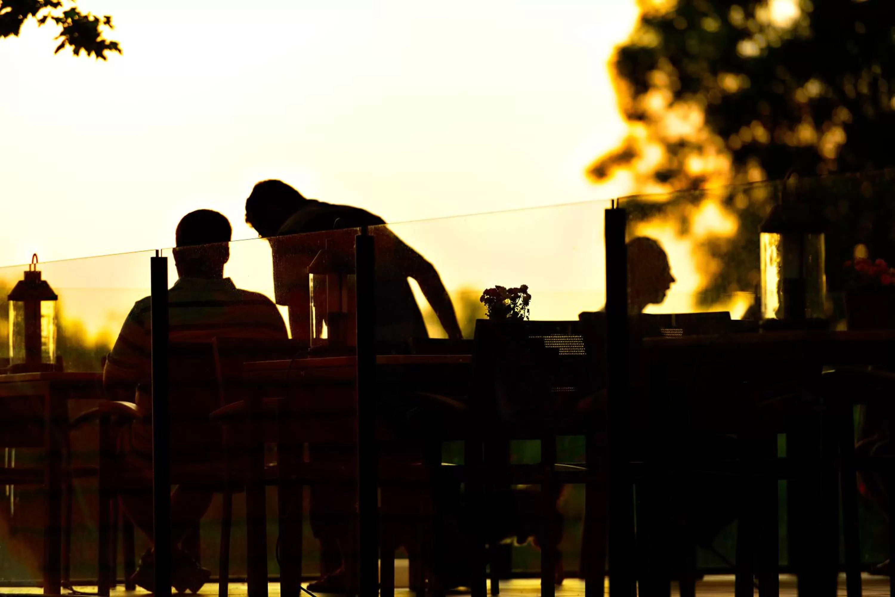 View (from property/room) in ARTHOTEL Kiebitzberg