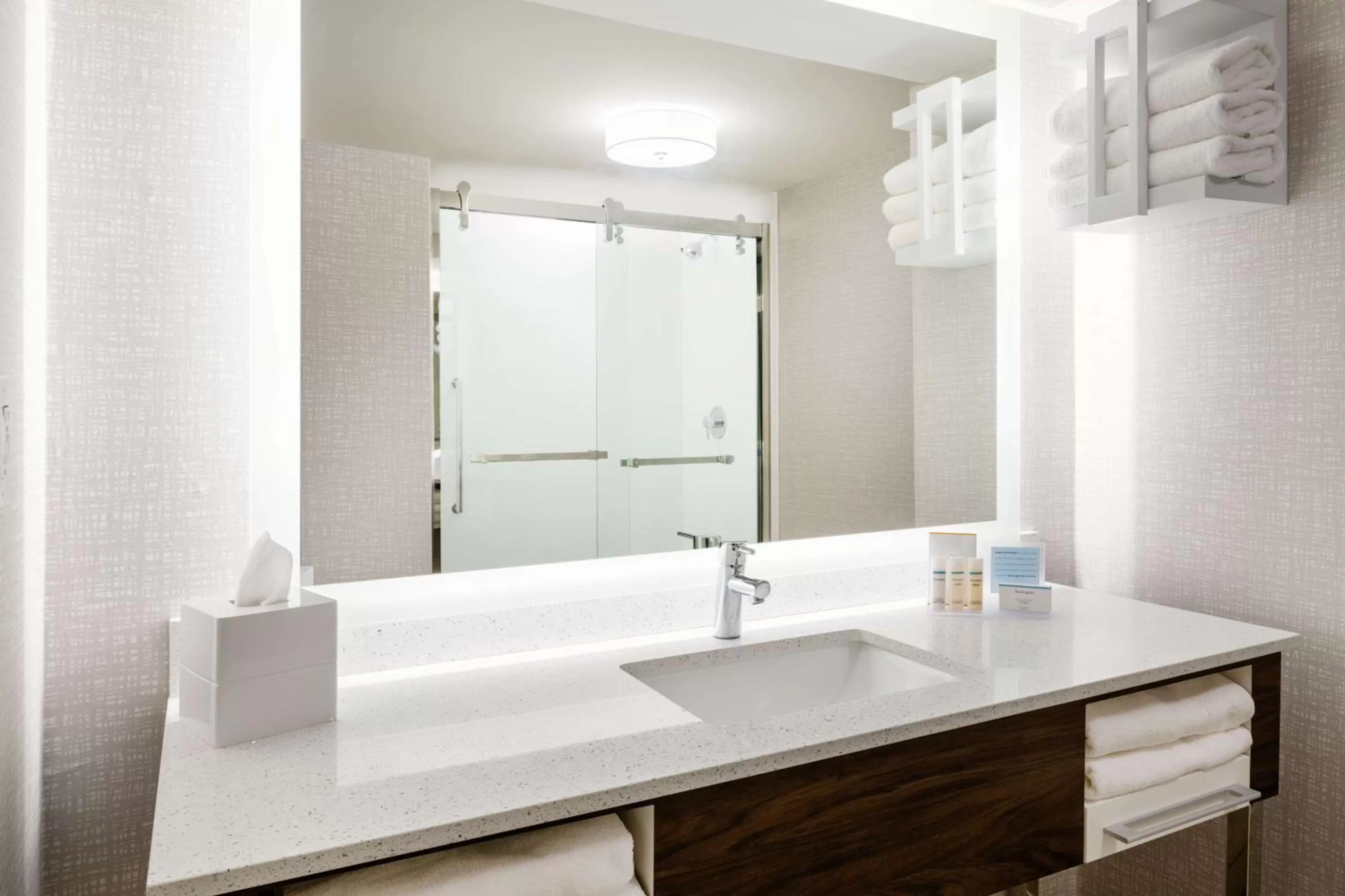 Bathroom in Hampton Inn Richmond/Midlothian Turnpike