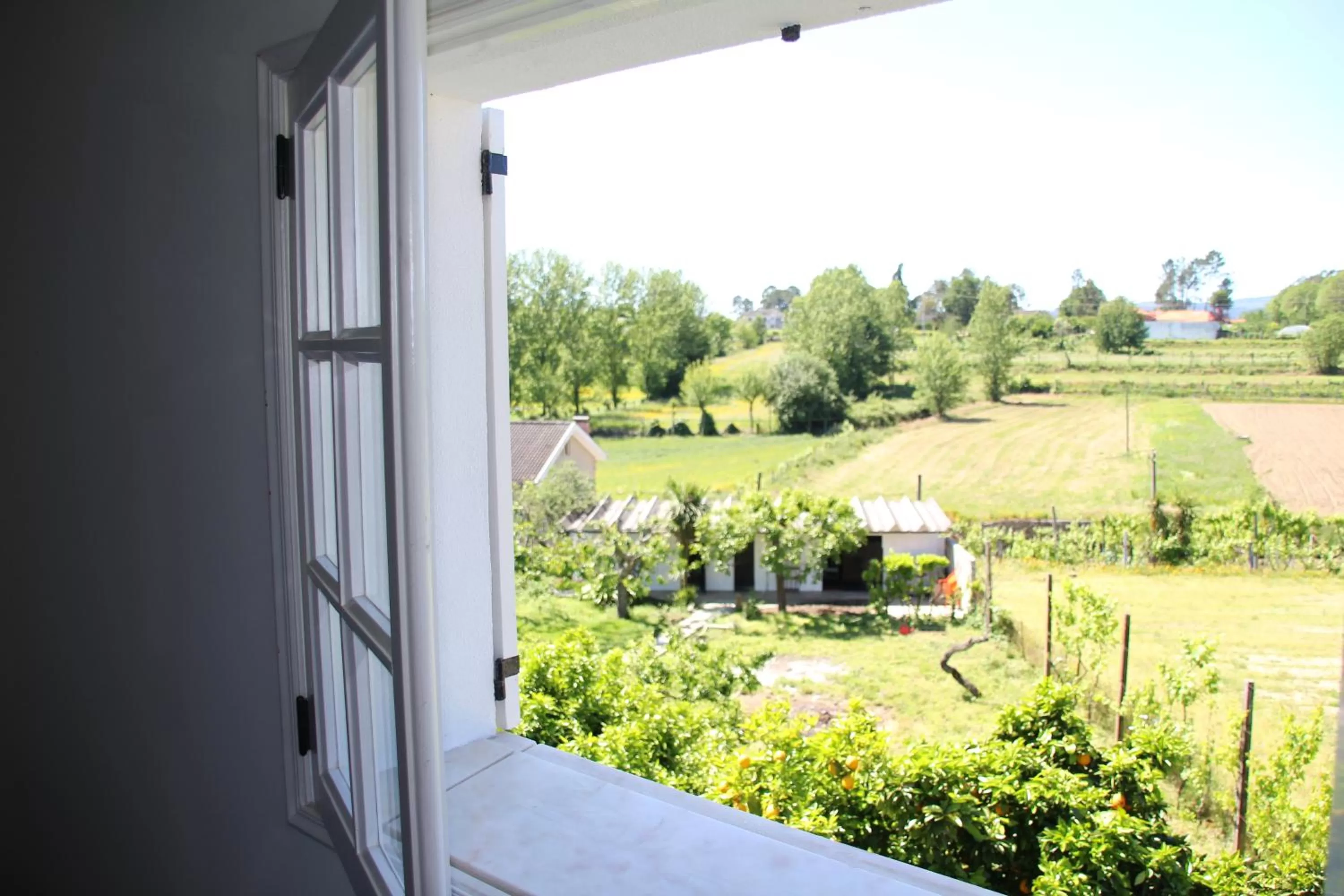 Garden view in B&B Villa Branca Barreiros AL98139