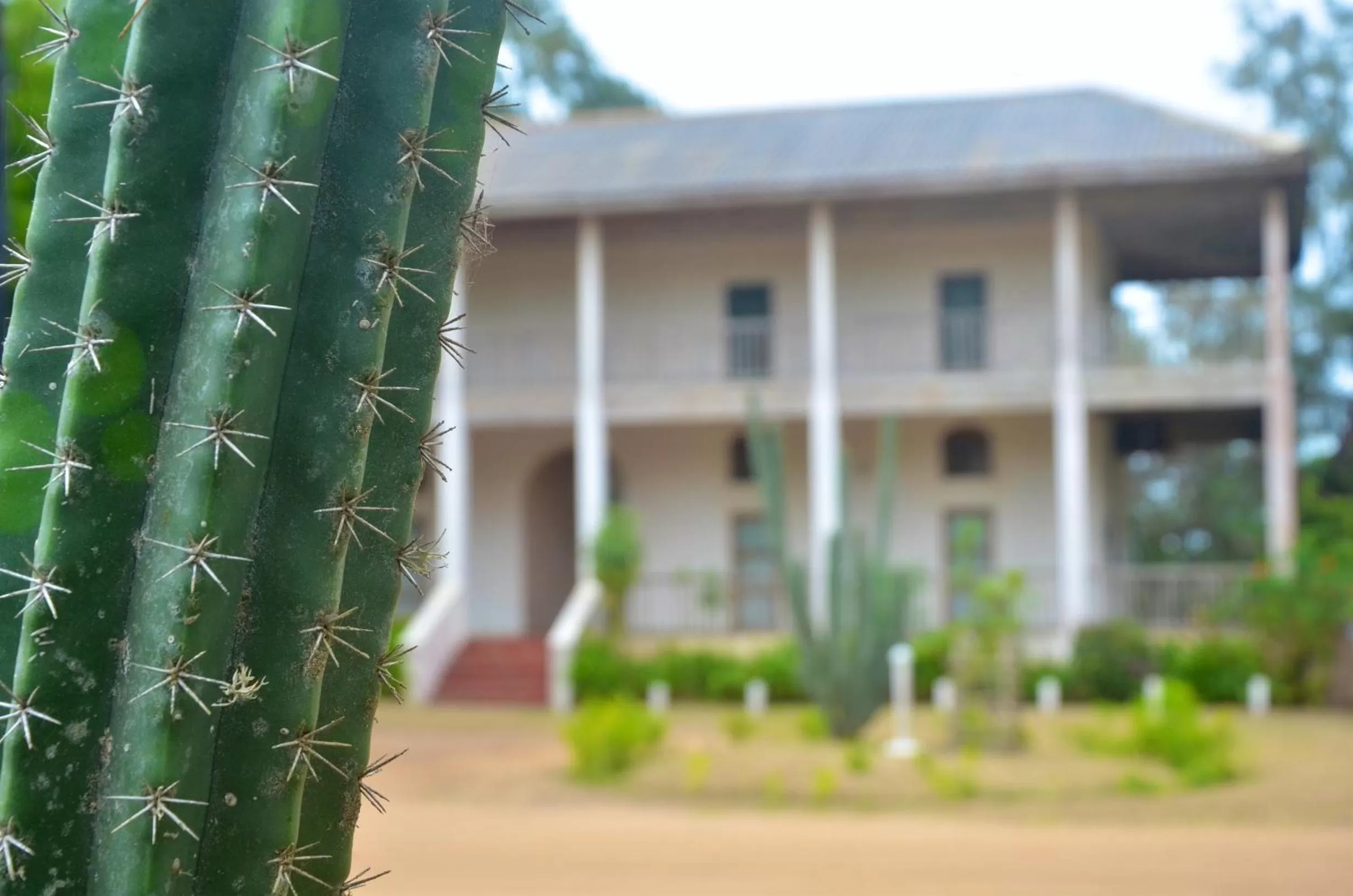 Garden, Property Building in Auberge de Grand Popo