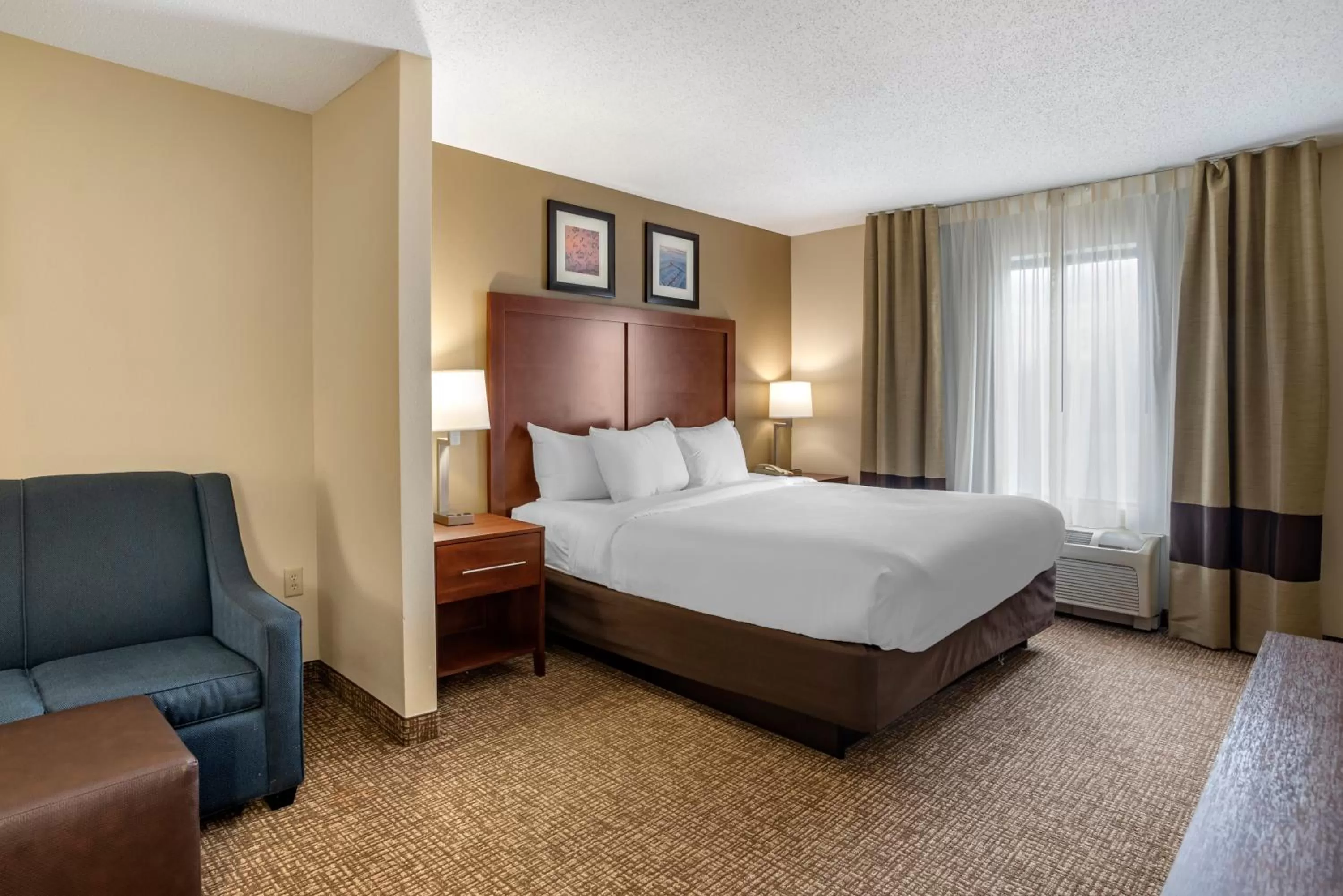 1 Room Suite, 1 King Bed, 2 Person Sofa Bed, Non-Smoking in Comfort Inn & Suites Cambridge