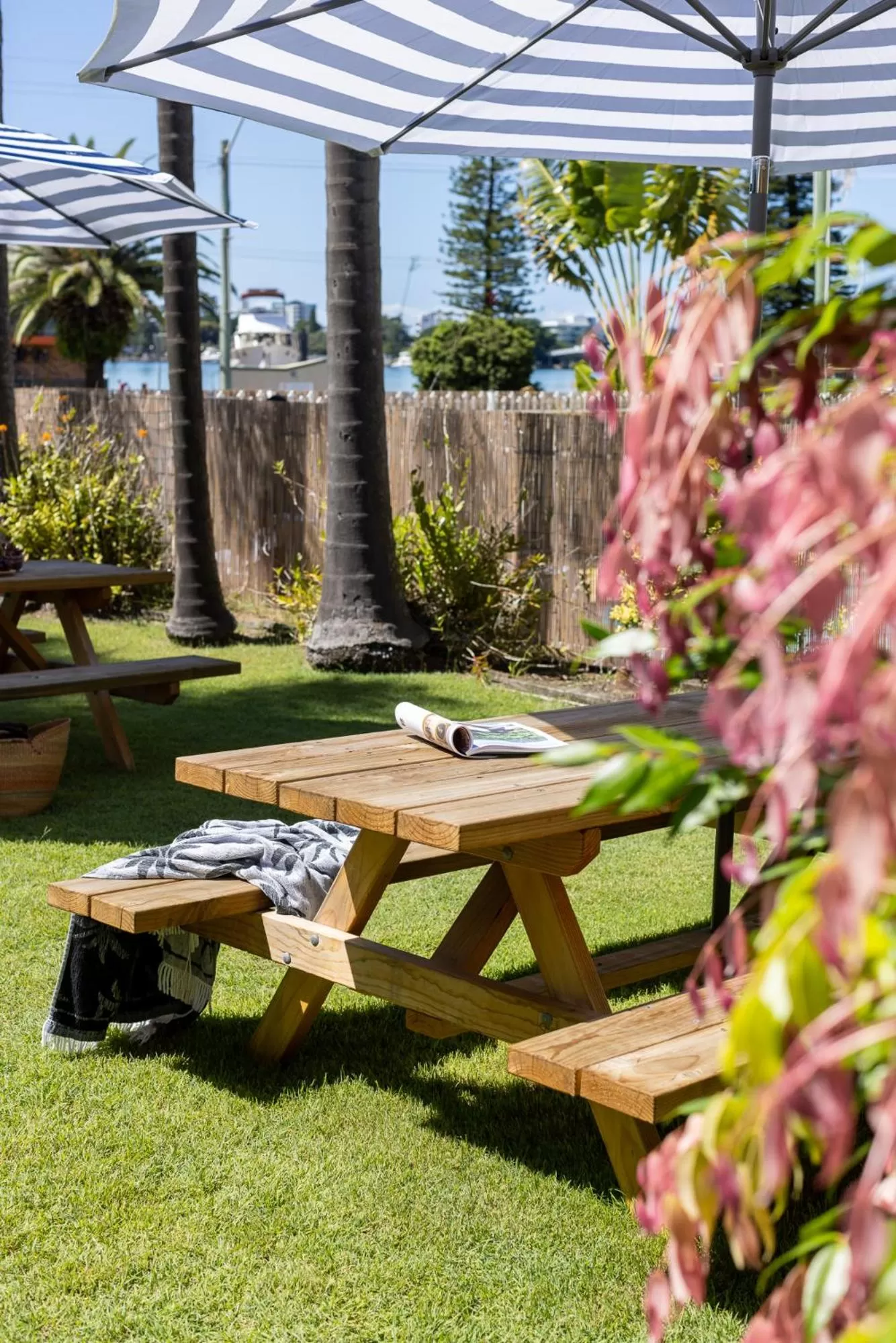 Superior Double or Twin Room in South Pacific Palms Motor Inn