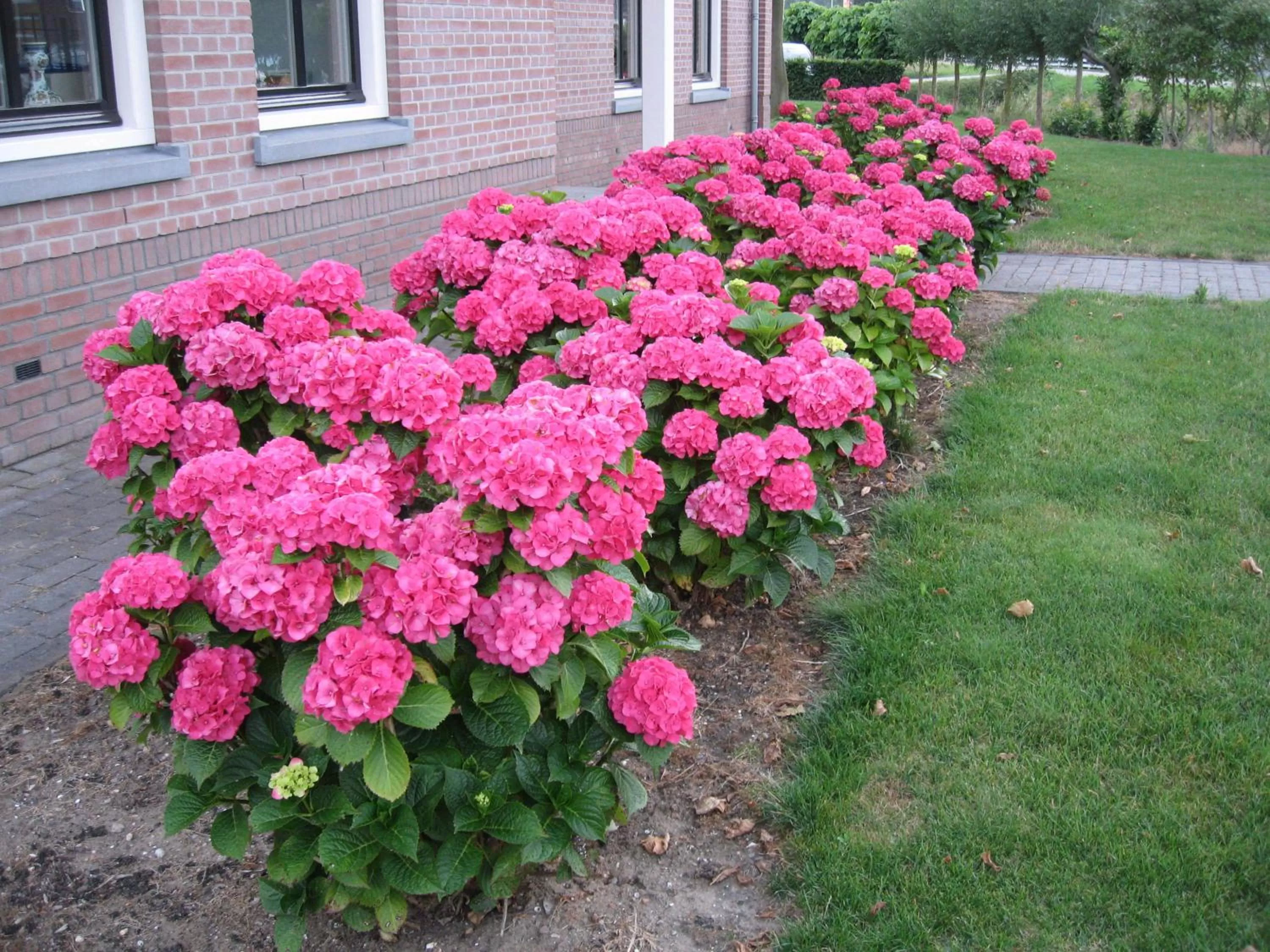 Area and facilities in Oostzomerland