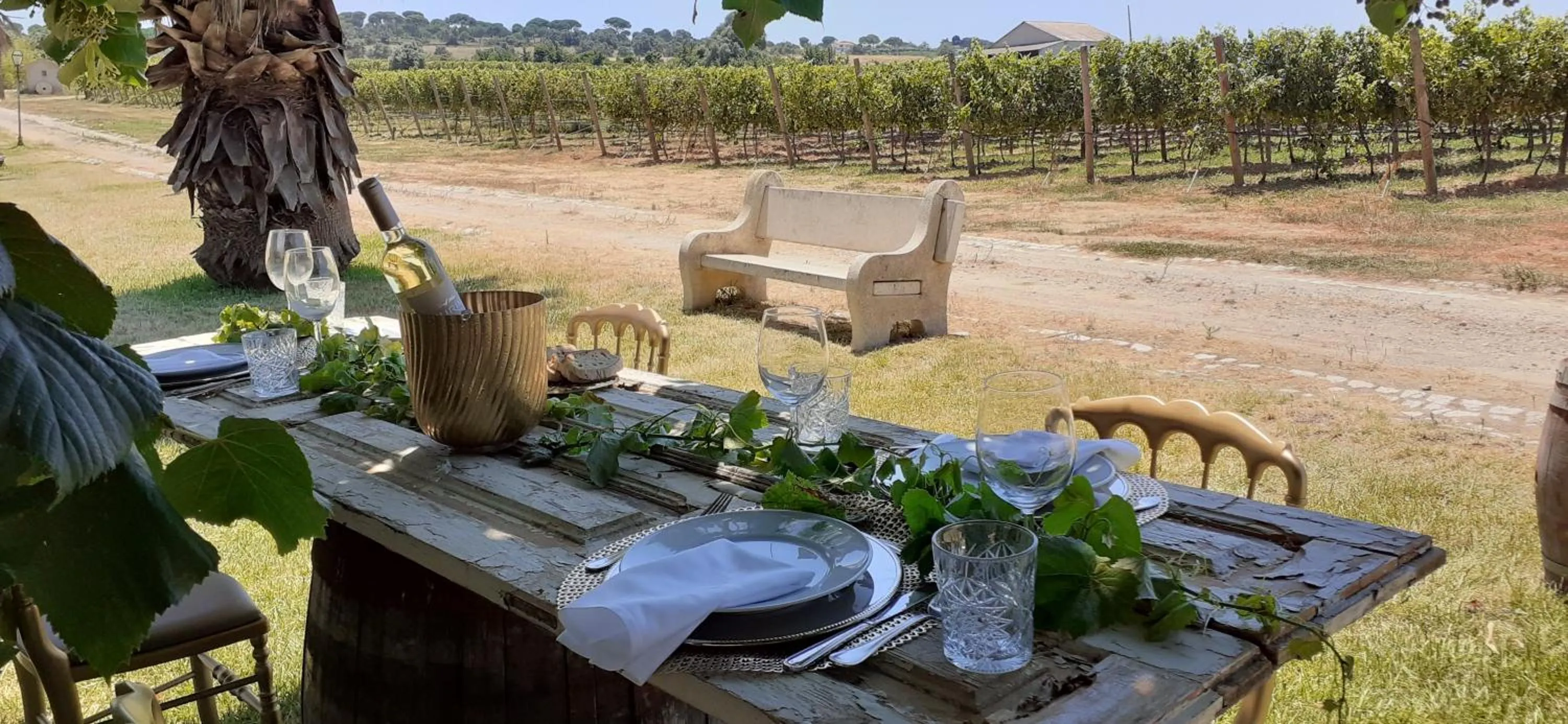 Patio in Turim Club Azeitao Hotel