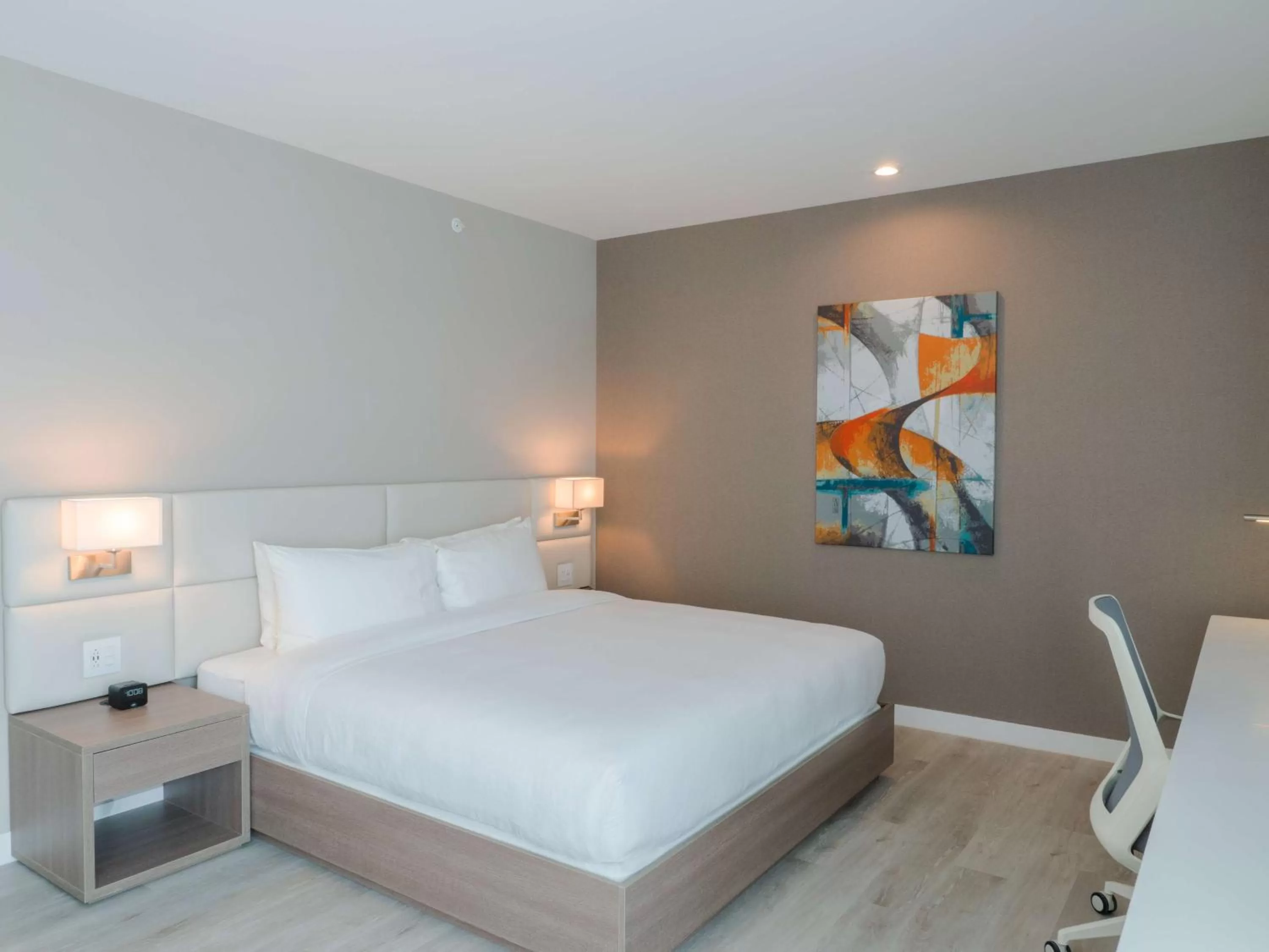 Suite King Room - Mobility Accessible in Hilton Garden Inn Santa Ana, San Jose