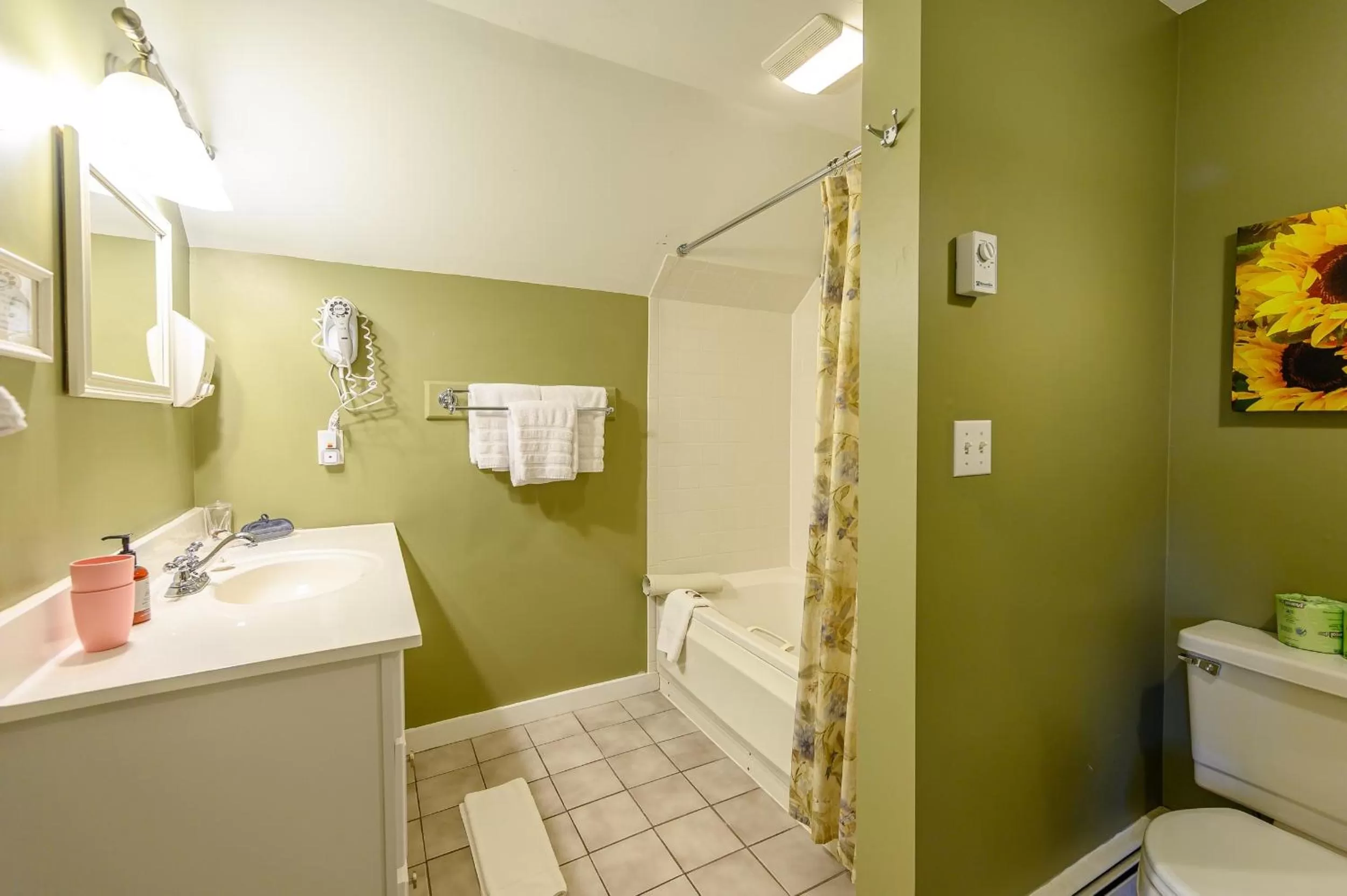 Bathroom in Brass Lantern Inn
