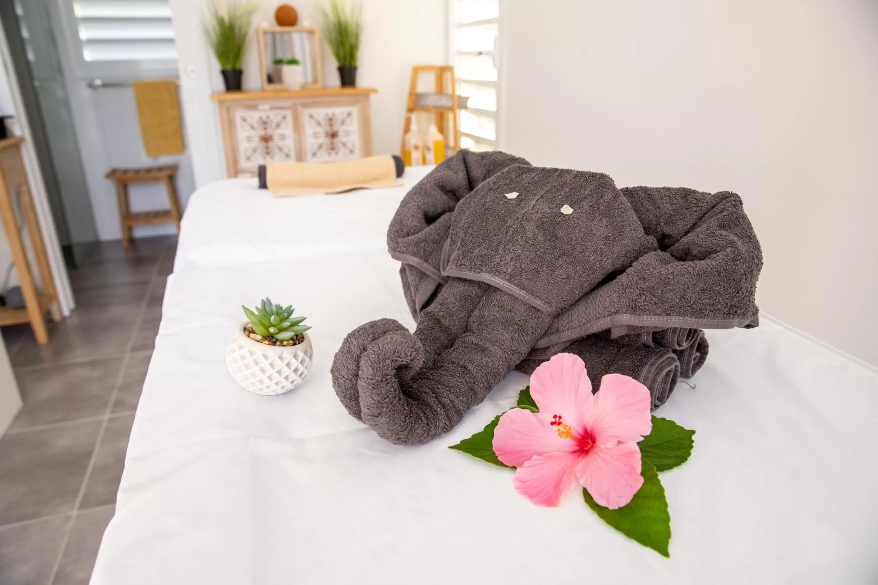 Spa and wellness centre/facilities in Hôtel Guadeloupe Palm Suites