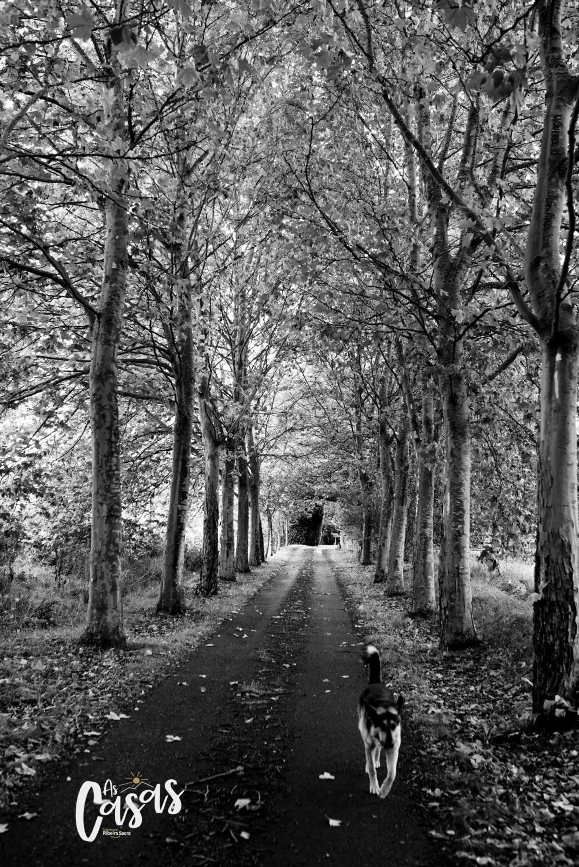 Off site, Winter in As Casas Ribeira Sacra