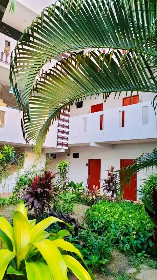 Garden in Siray House