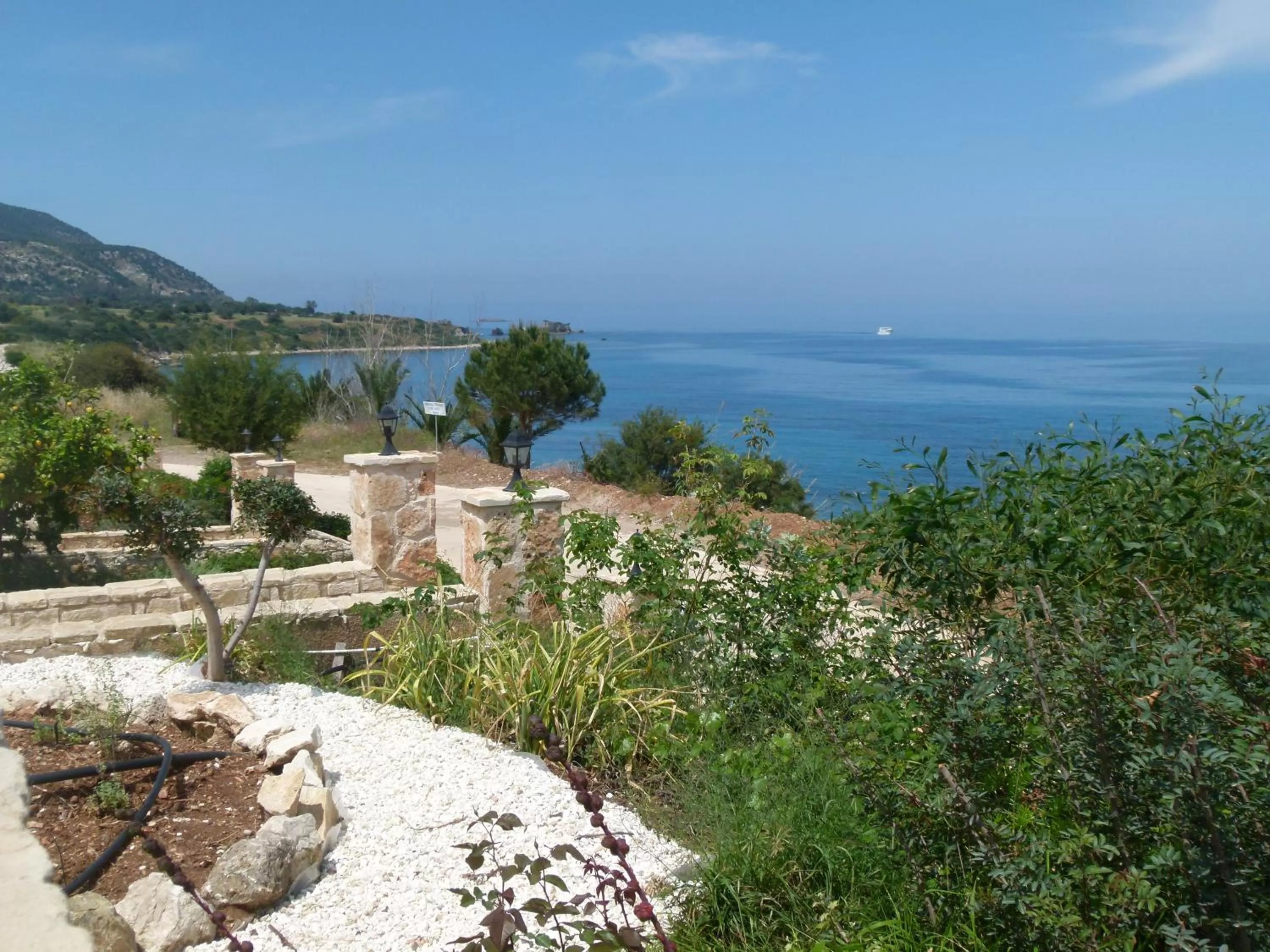 Natural landscape in Aphrodite Beach Hotel