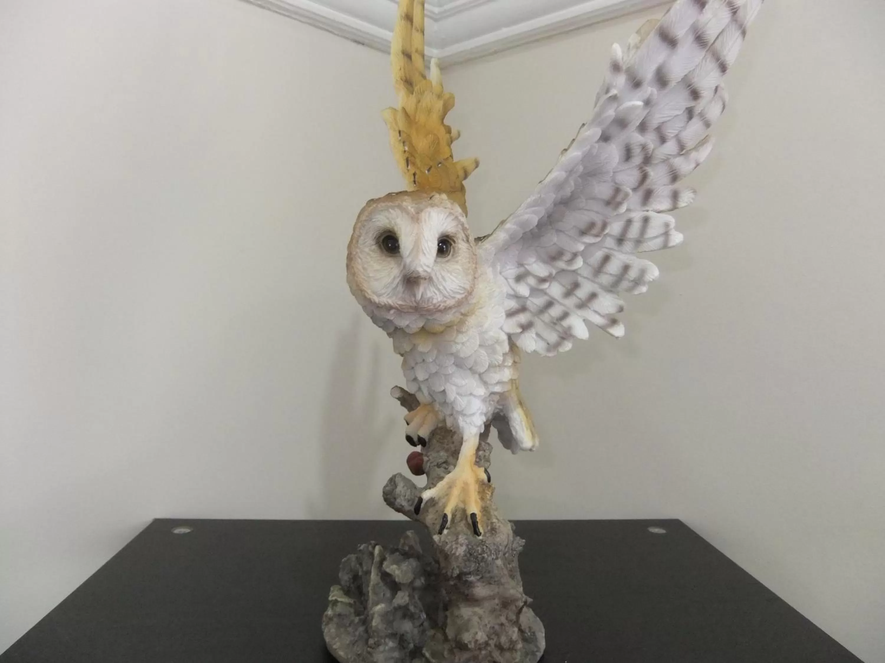 Dining area, Other Animals in FourRooms - Couples Only