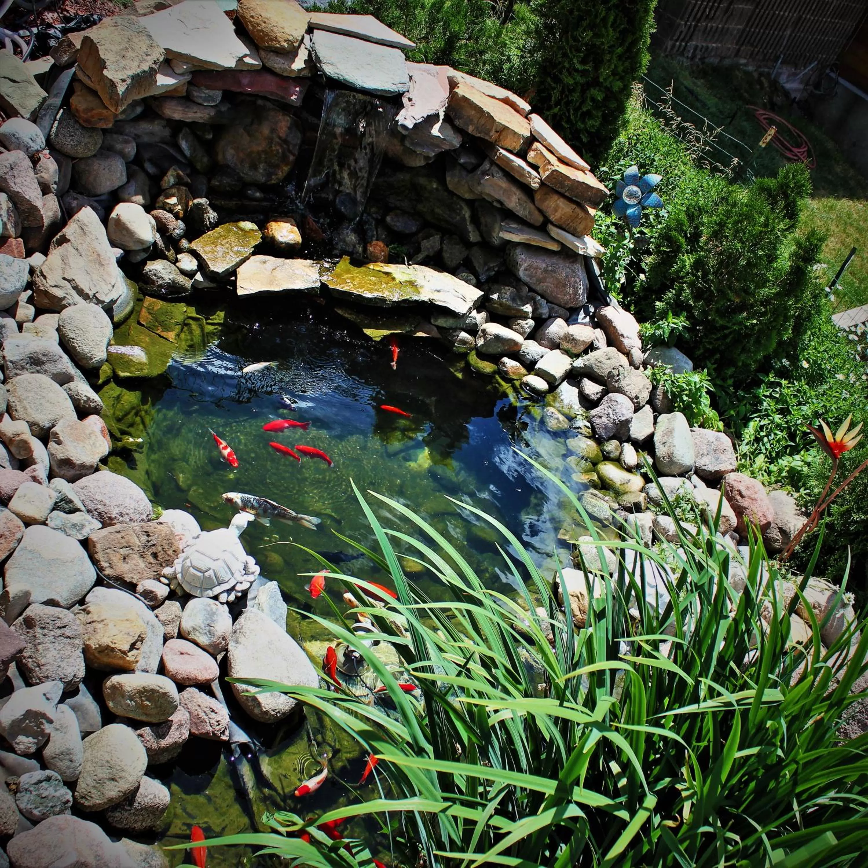 Garden in Vail Run Resort