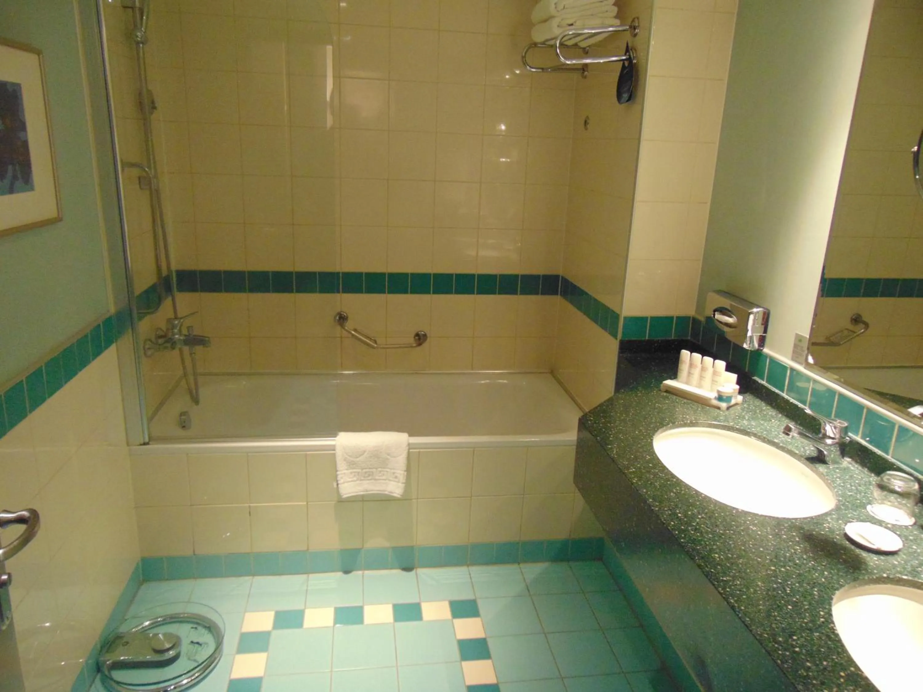 Bathroom in Radisson Blu Ankara