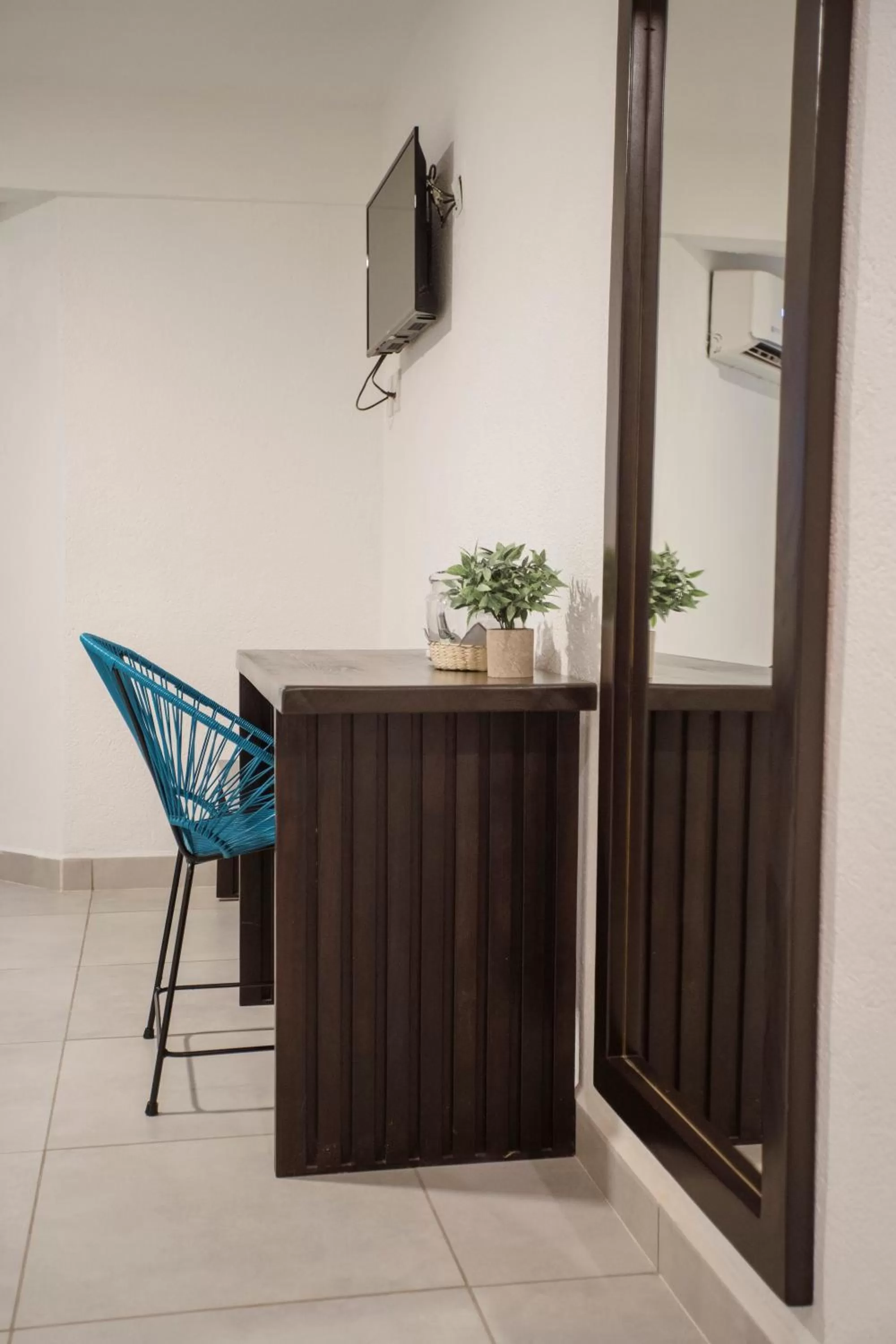 TV and multimedia in Hotel Camino Del Sol