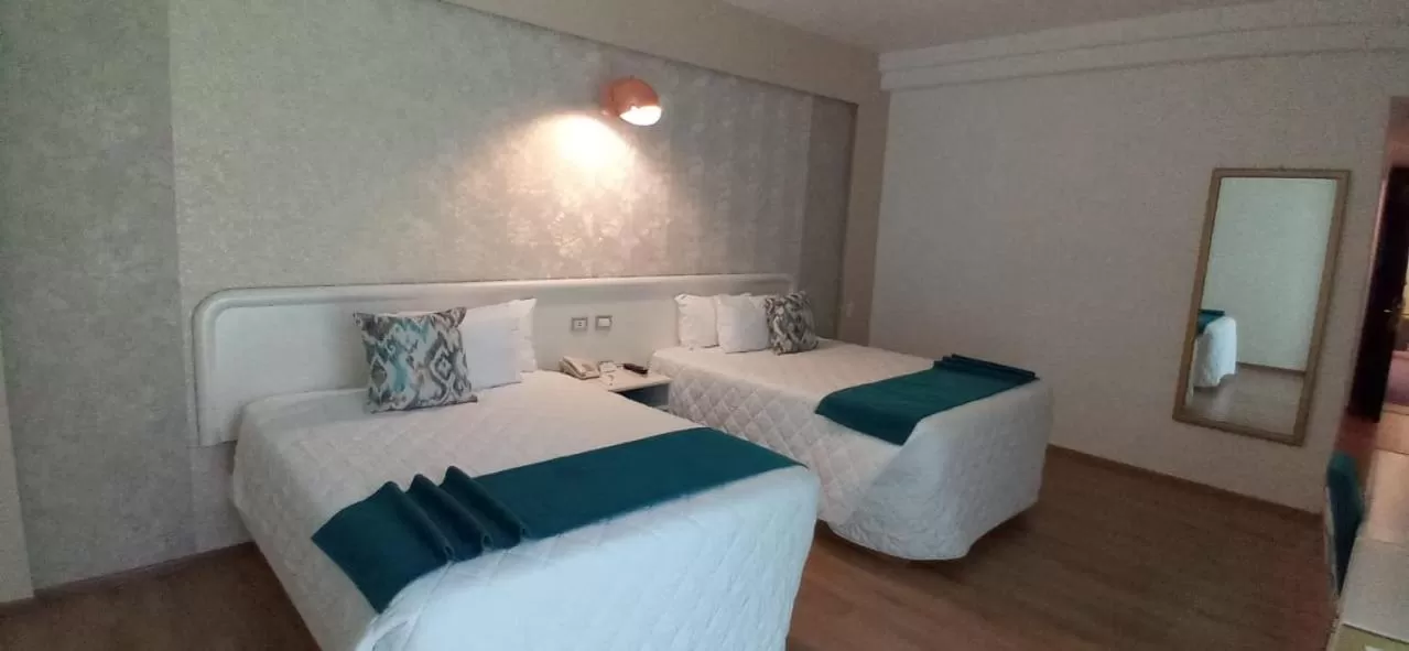 Bed in Hotel Medrano Temáticas and Business Rooms Aguascalientes