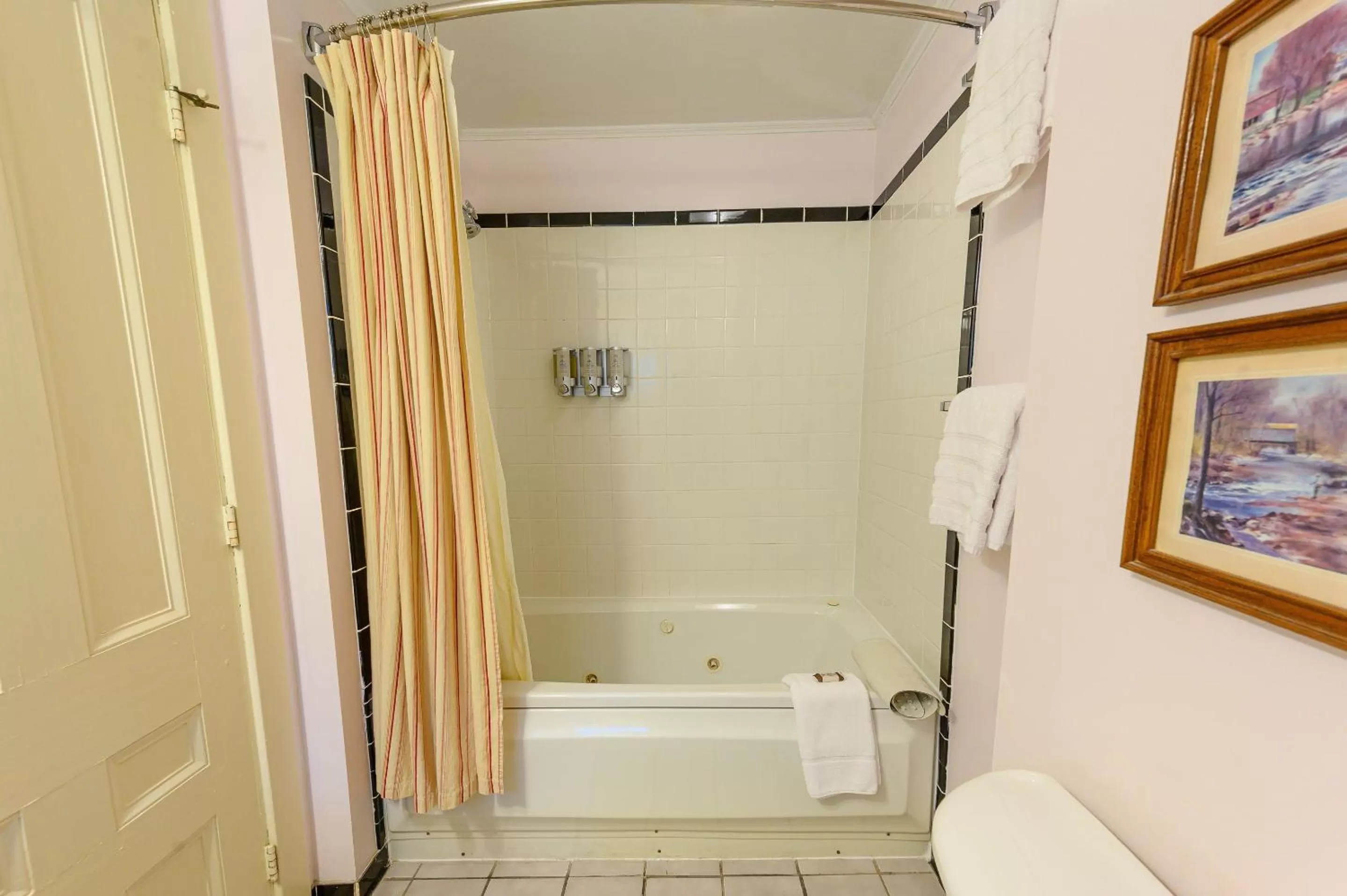 Bathroom in Brass Lantern Inn