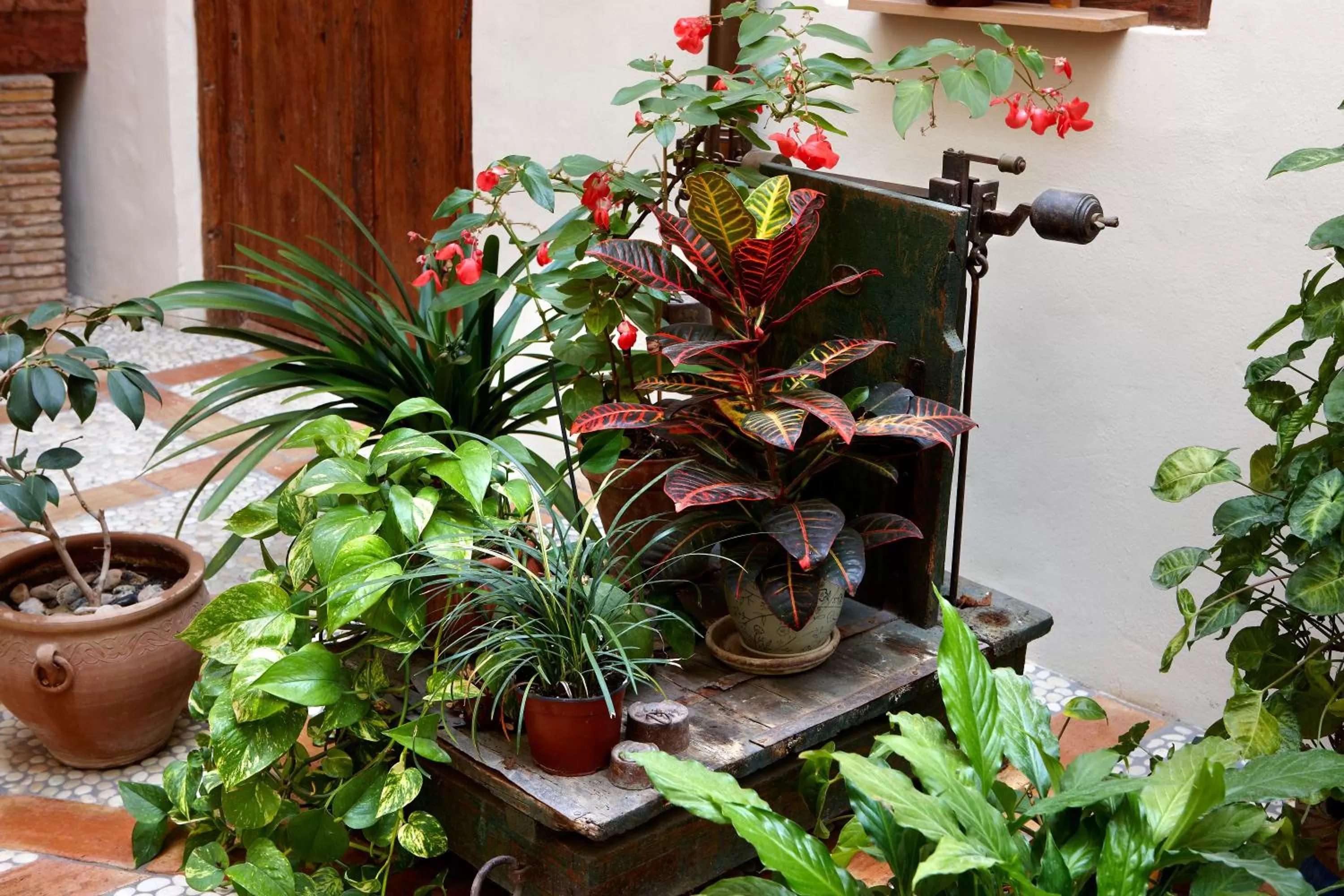 Garden in Eco Hotel con encanto Masía la Mota B&B