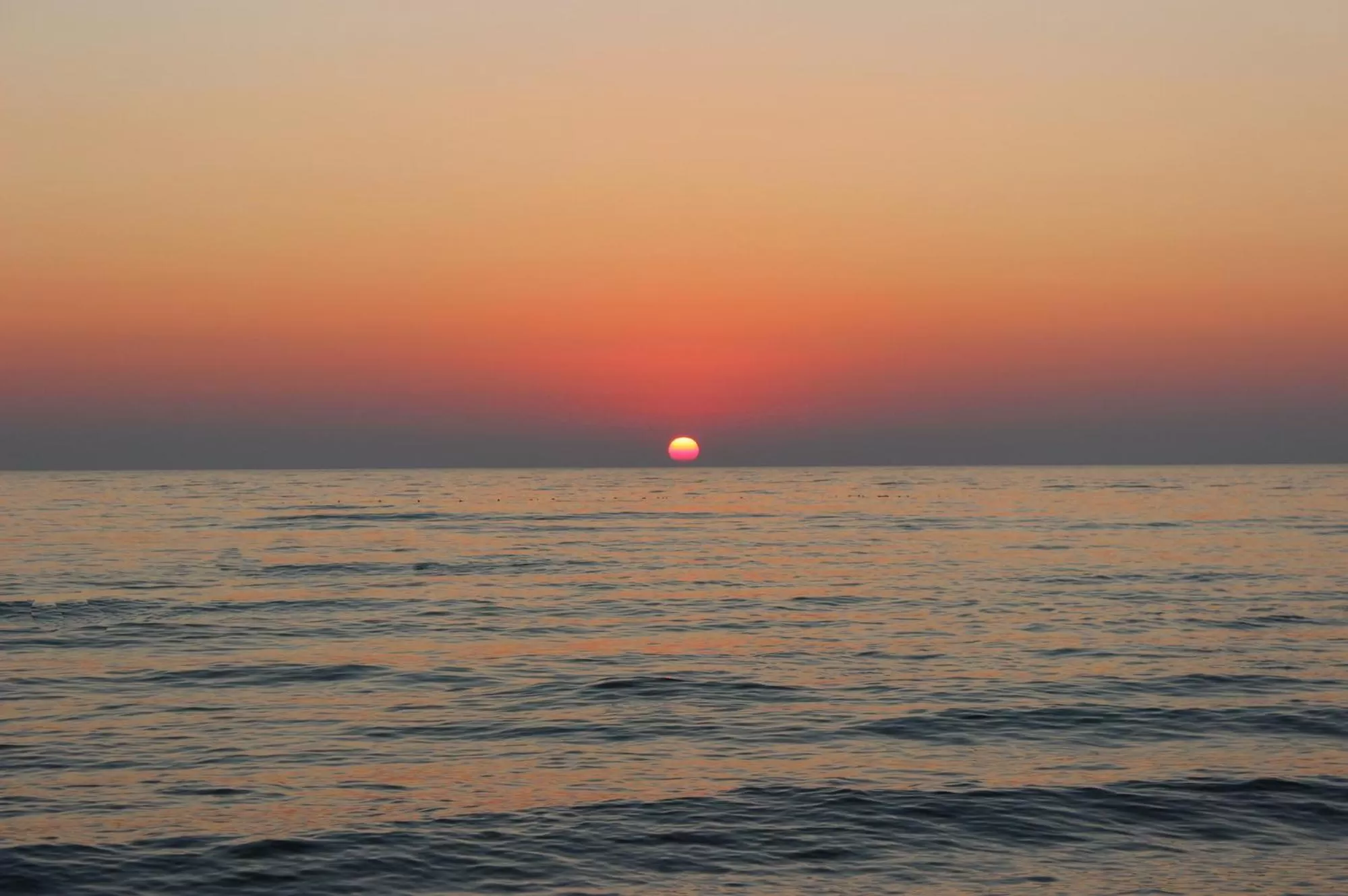 Property building in istanbul Airport Kumsal Otel