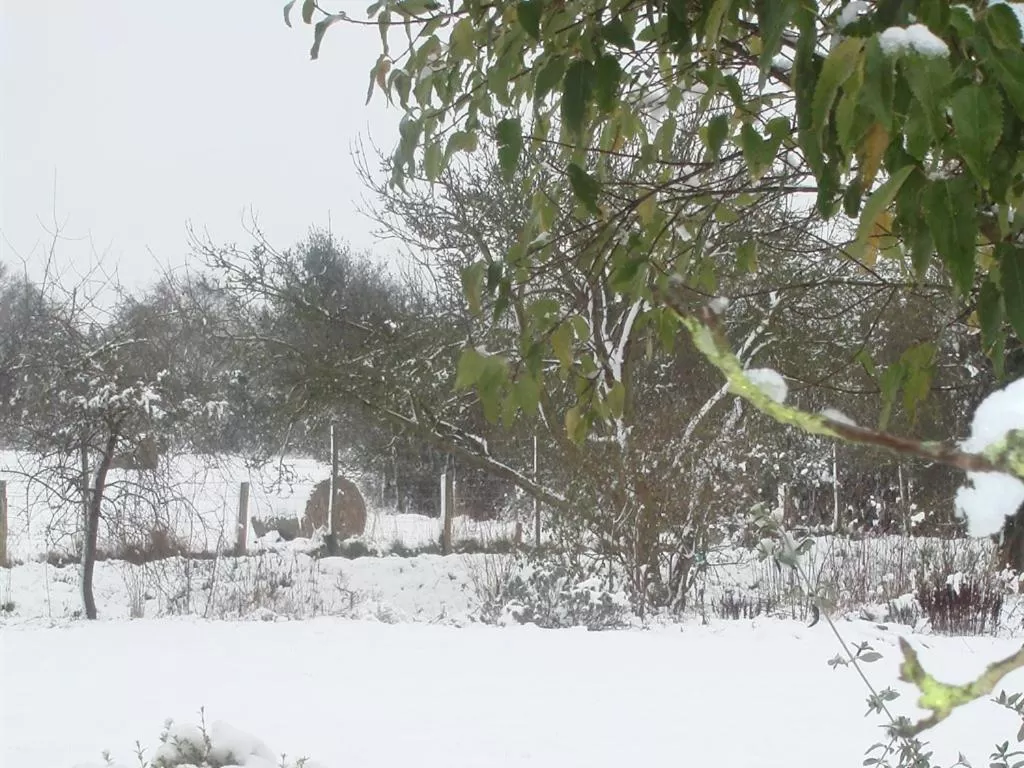 Natural landscape in Field Farm Cottage B&B