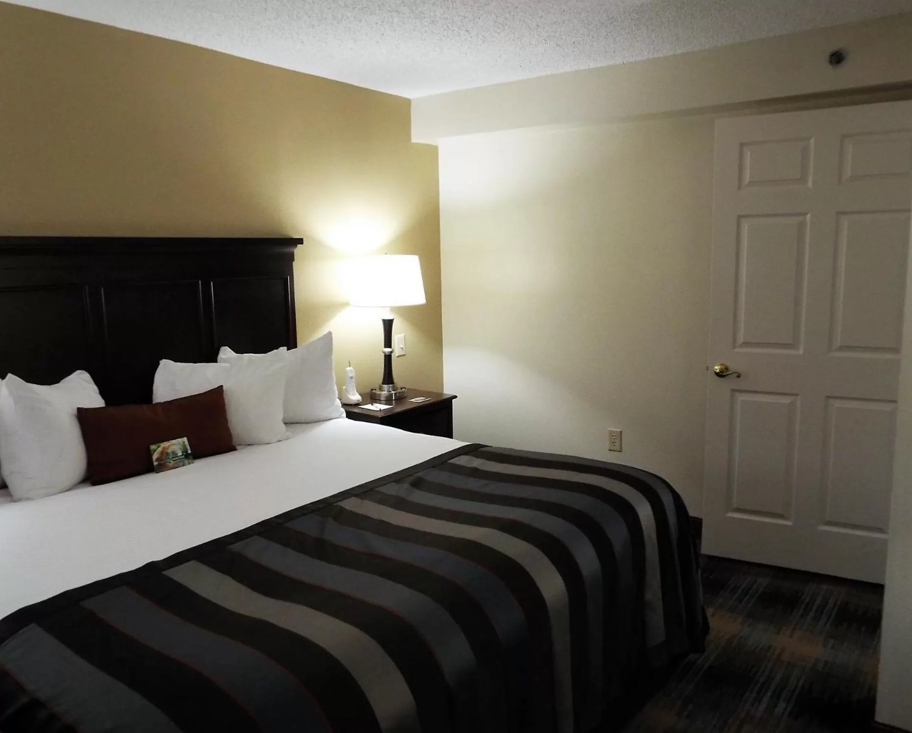 King Suite - Non-Smoking in Wingate by Wyndham Greensboro