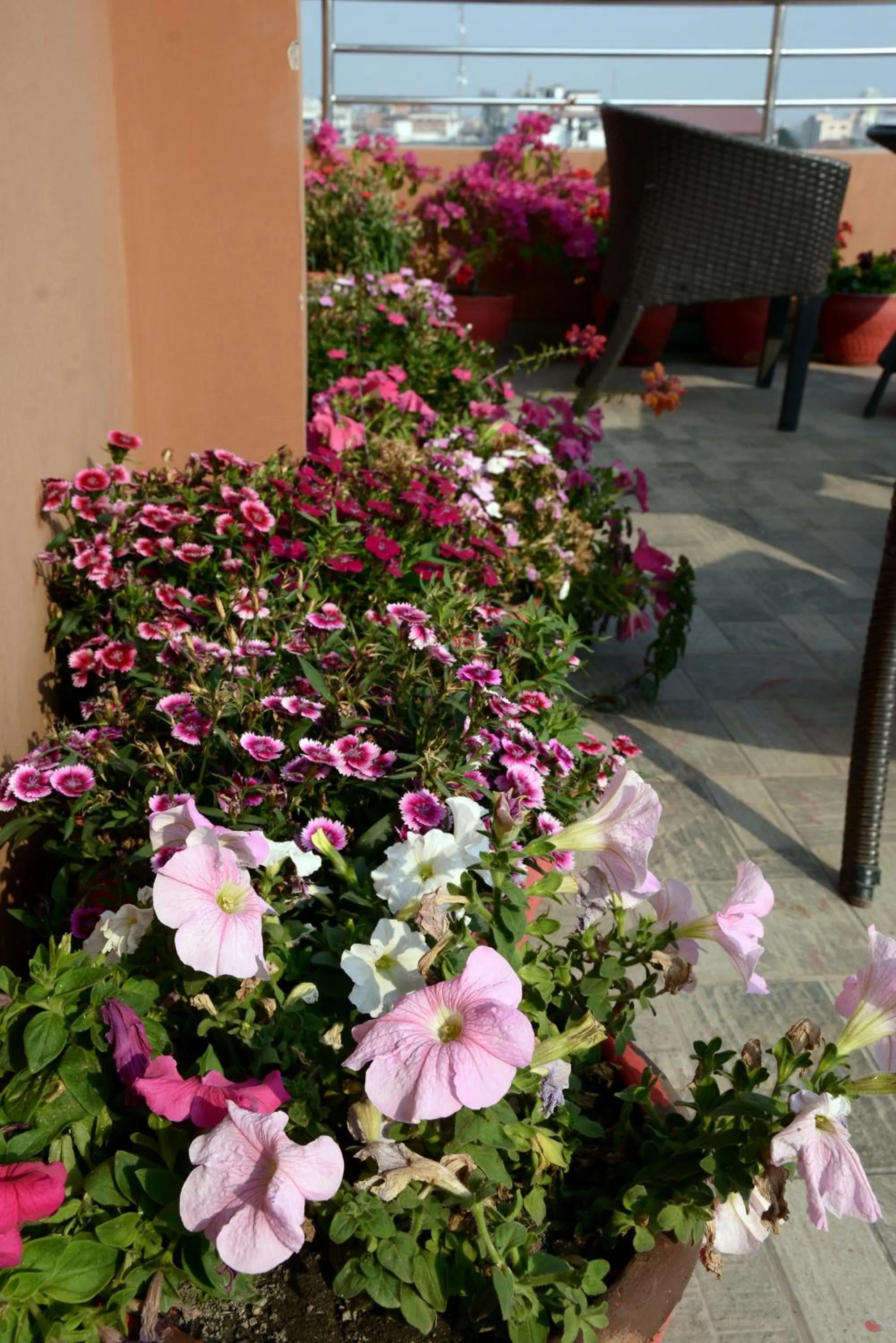 Spring in Kasthamandap Boutique Hotel