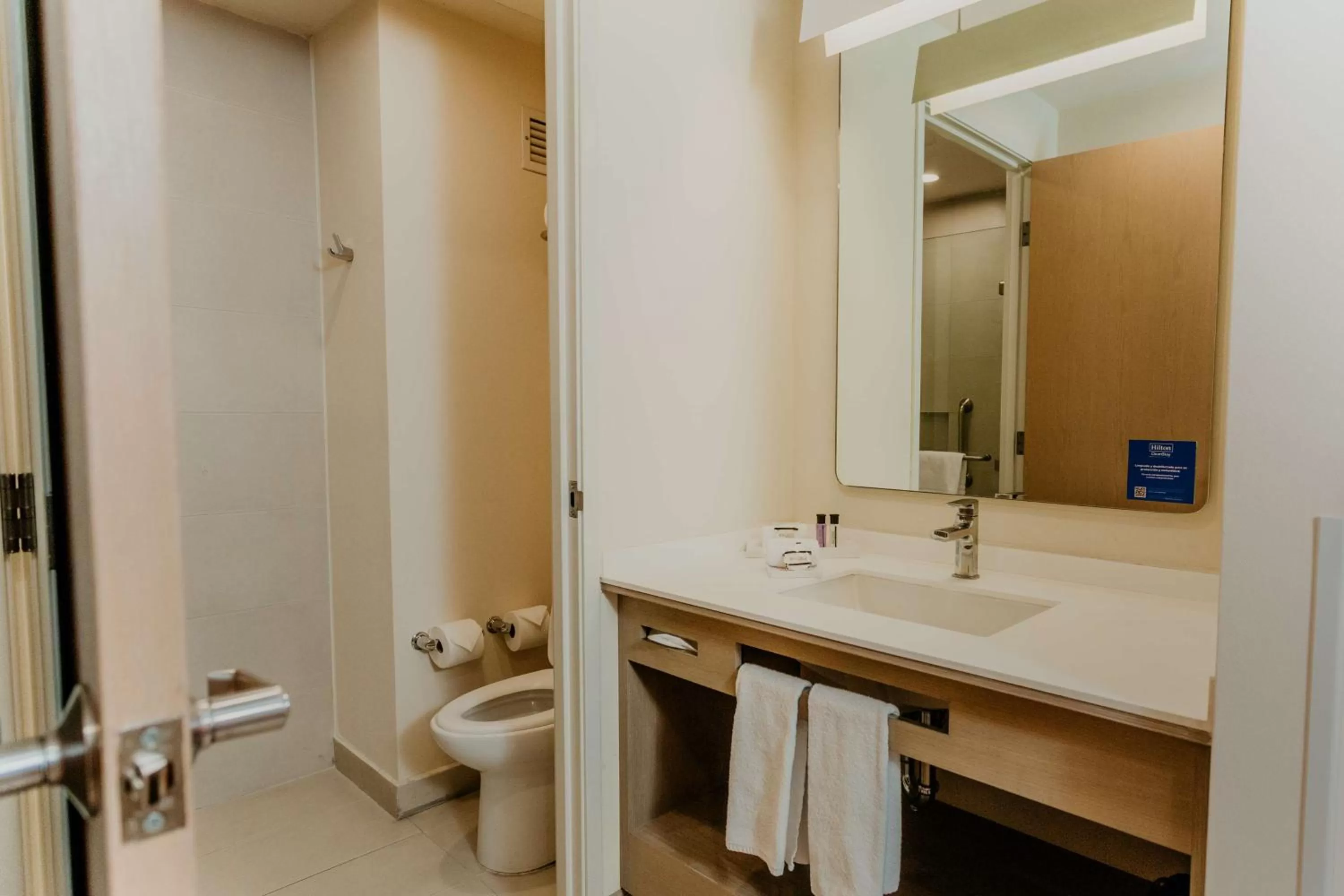 Bathroom in Hilton Garden Inn Silao Aeropuerto Bajio