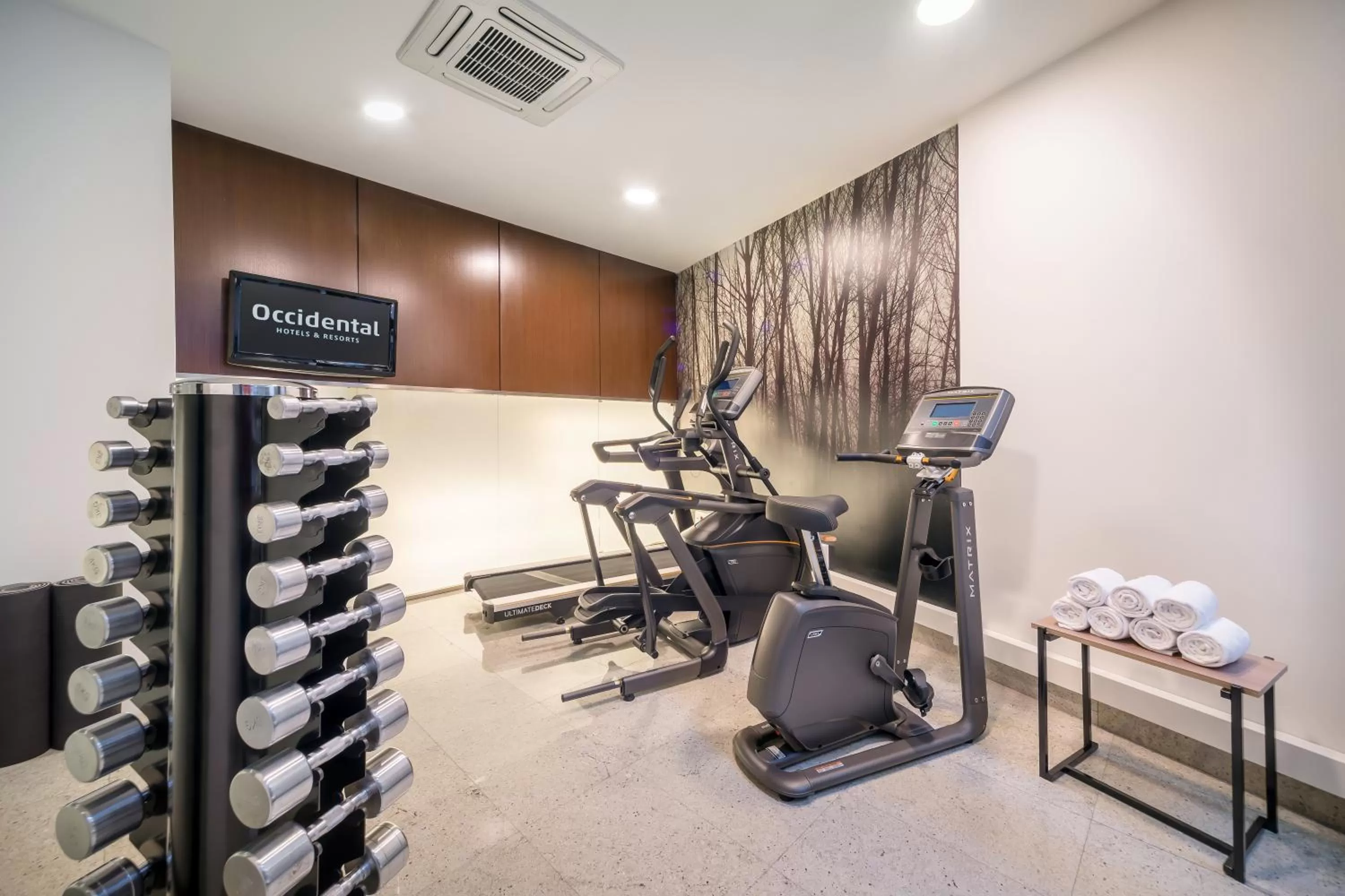 Fitness centre/facilities in Occidental Vigo