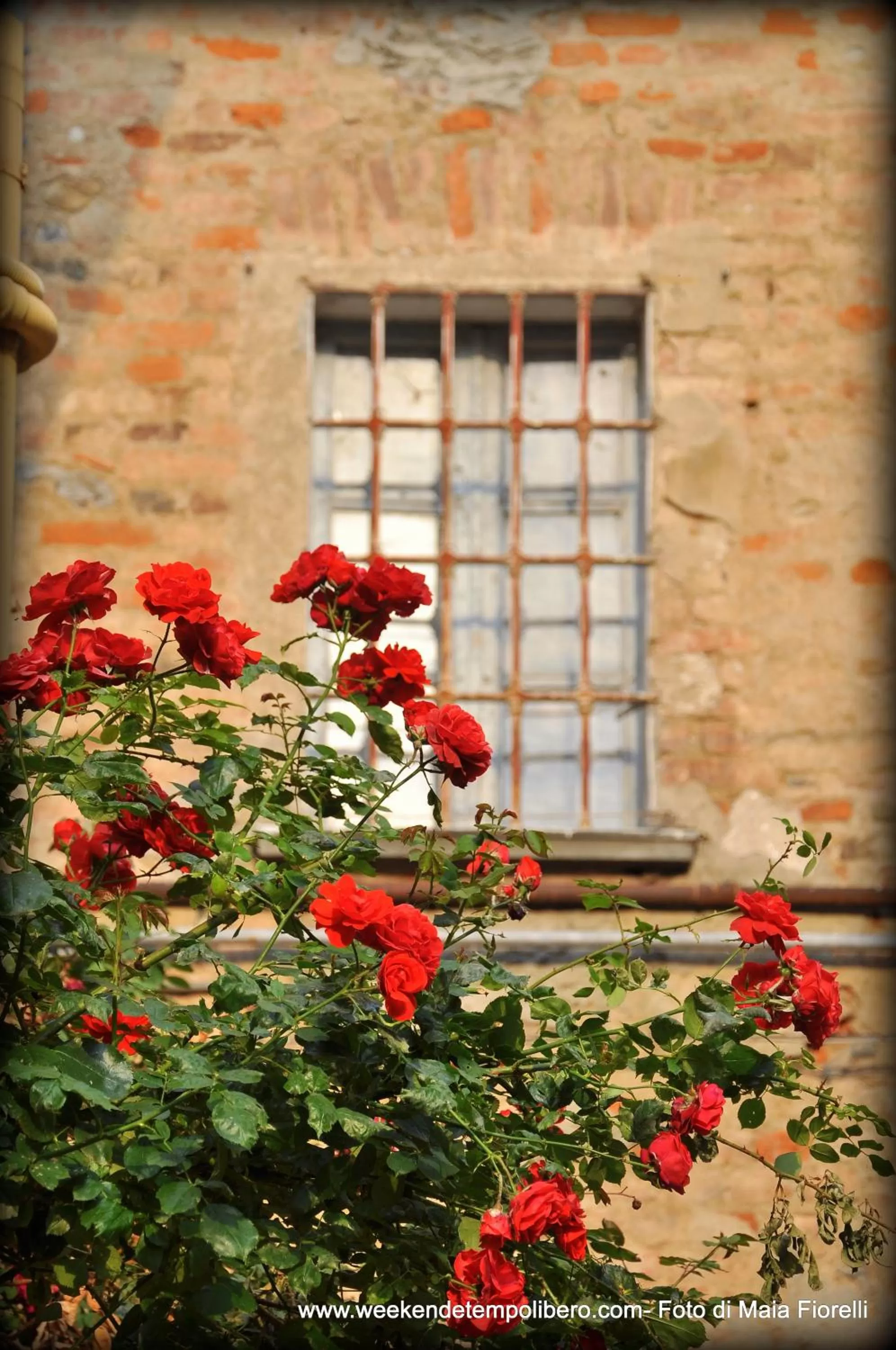 Landmark view in Residence La Pera Bugiarda