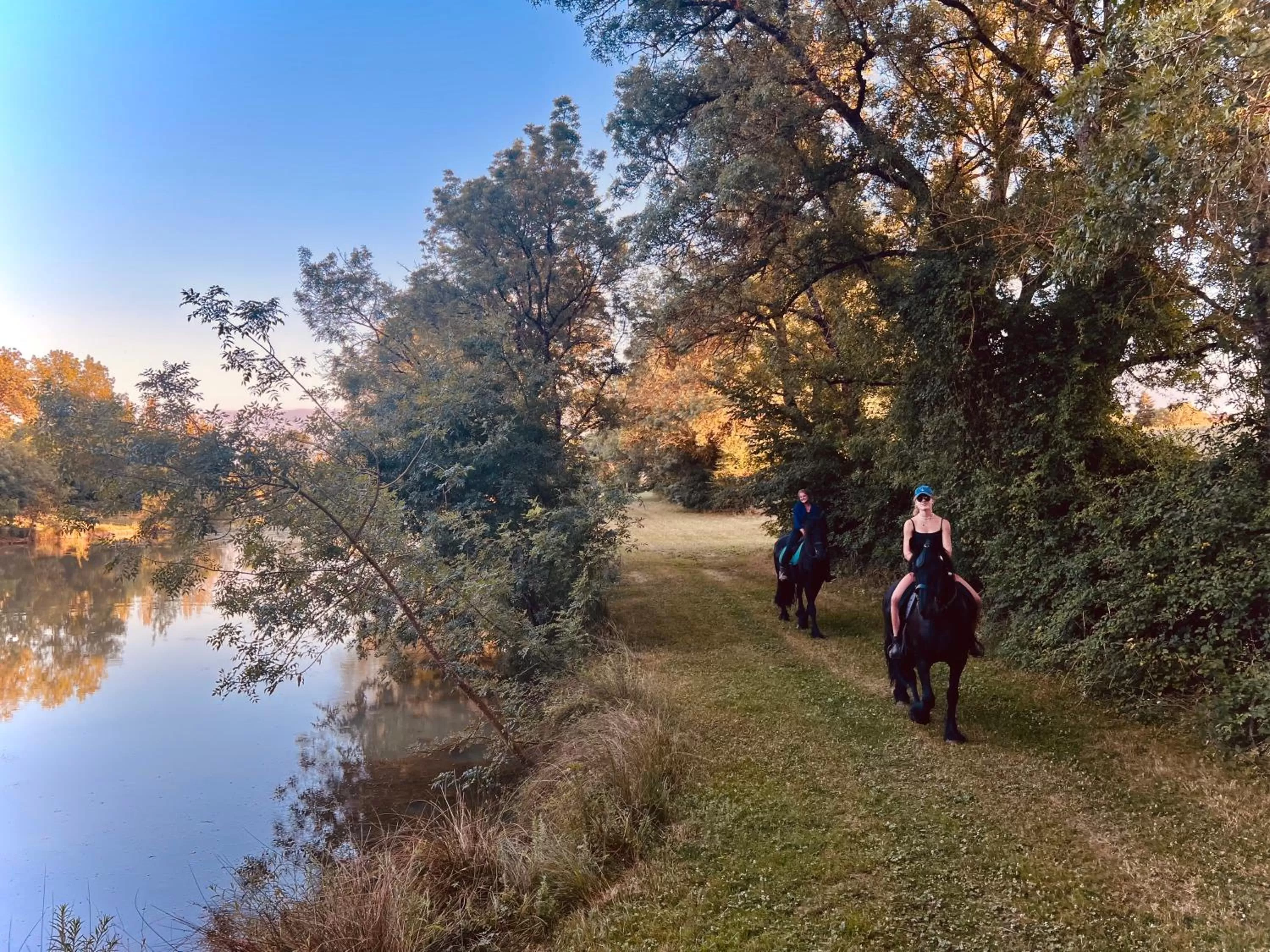Natural landscape, Horseback Riding in Domaine de Boulouch