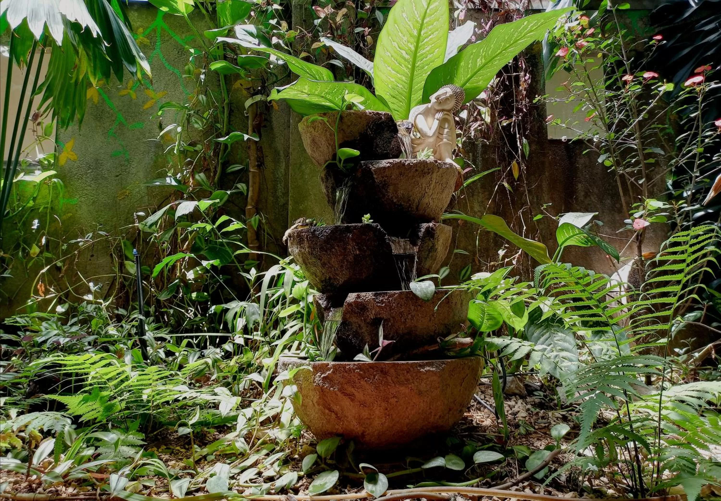 Garden, Other Animals in Nirvana Apartament Hostal