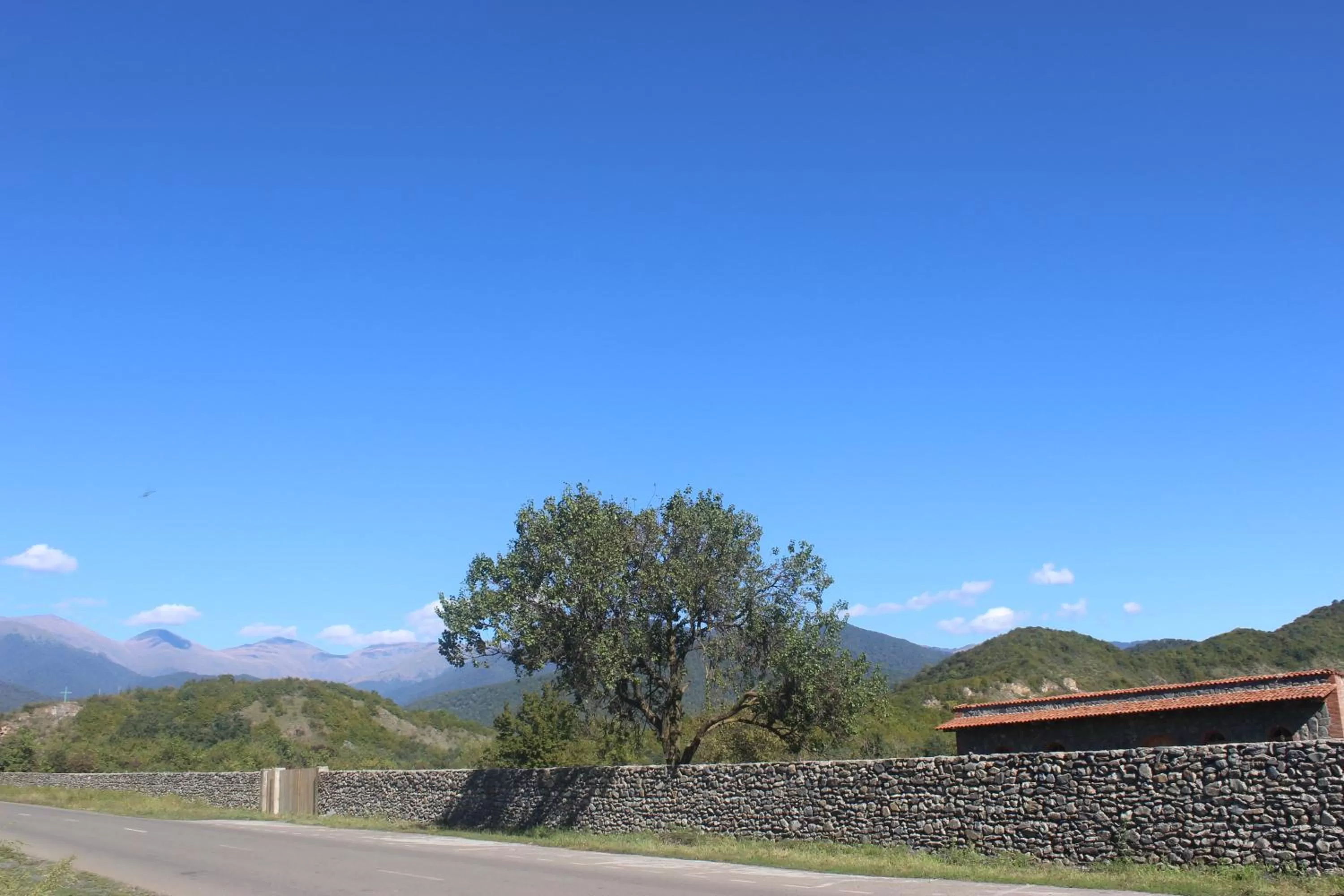 Natural landscape in Chubini Winery & Cabins