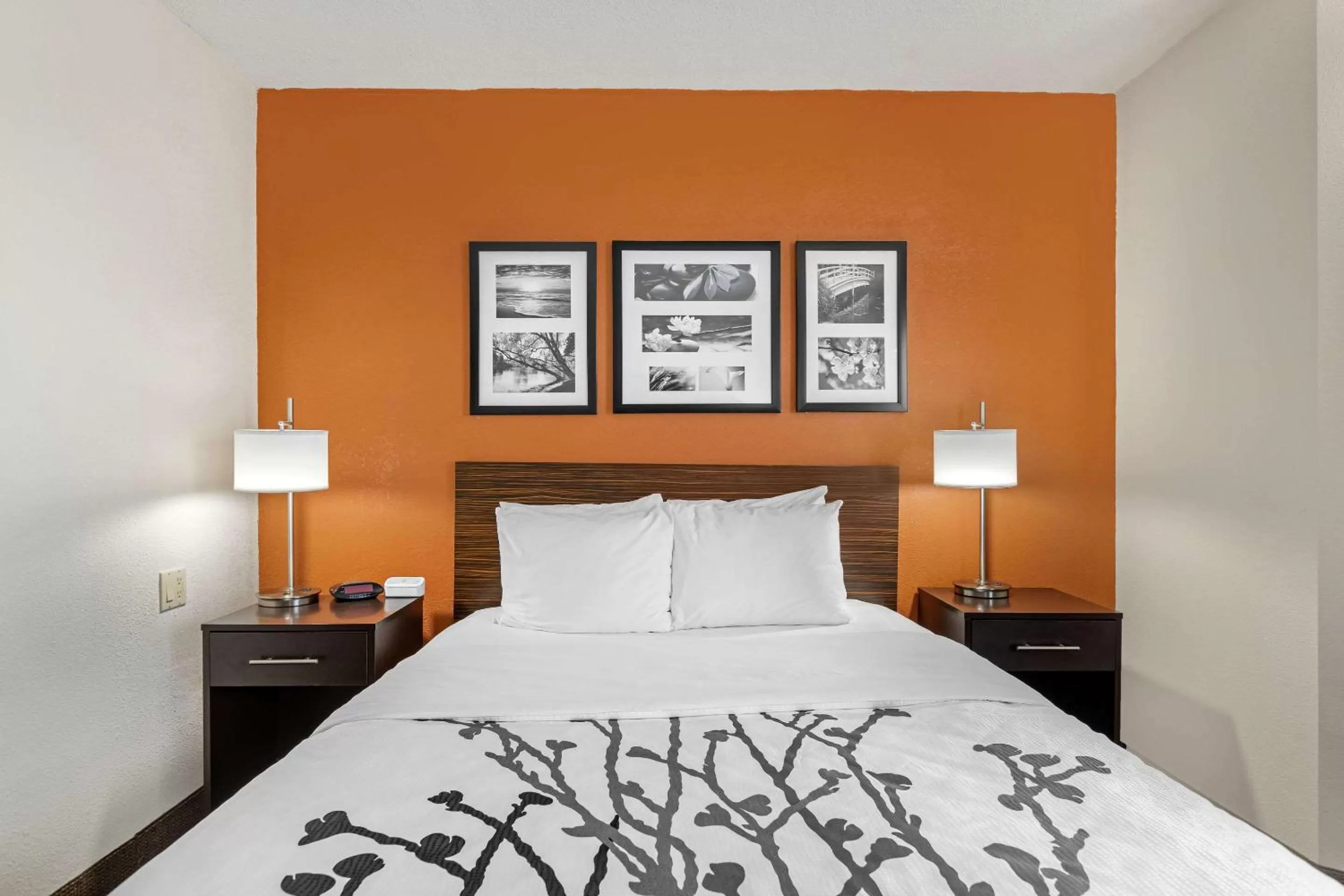 Photo of the whole room, Bed in Sleep Inn DeWitt - Lansing North