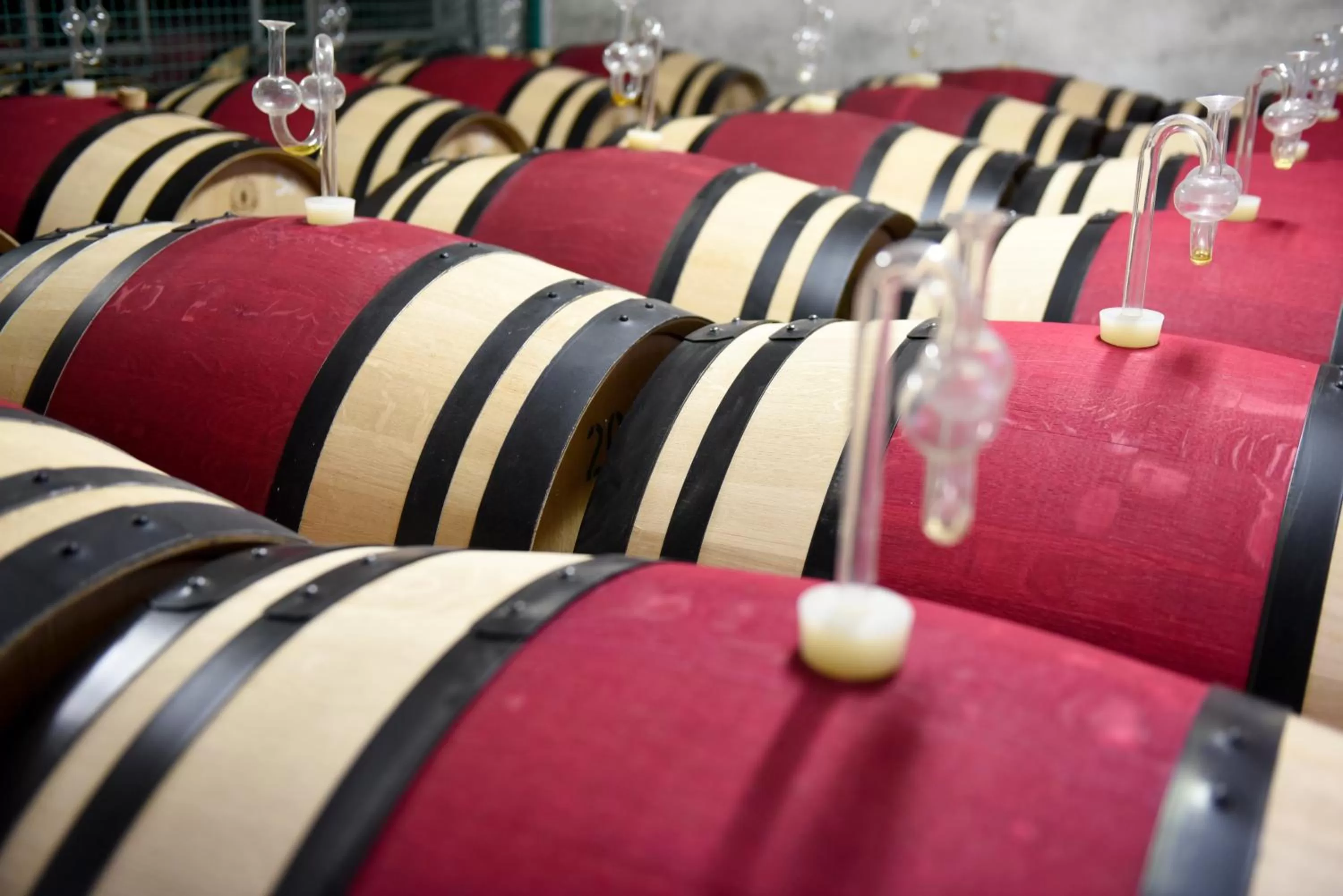 Area and facilities in Weinhotel Koegler