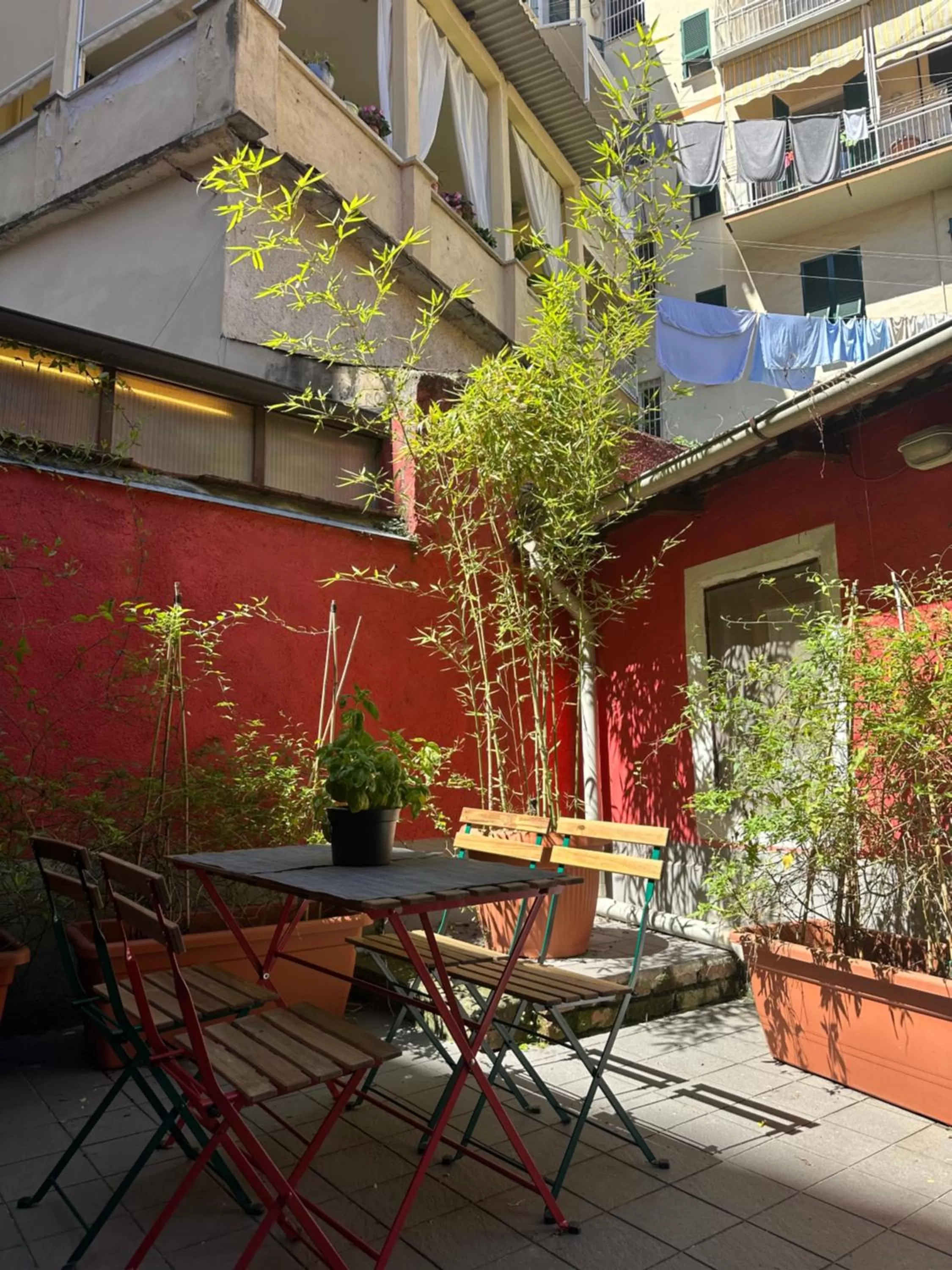 Garden in Boutique Hotel Novecento