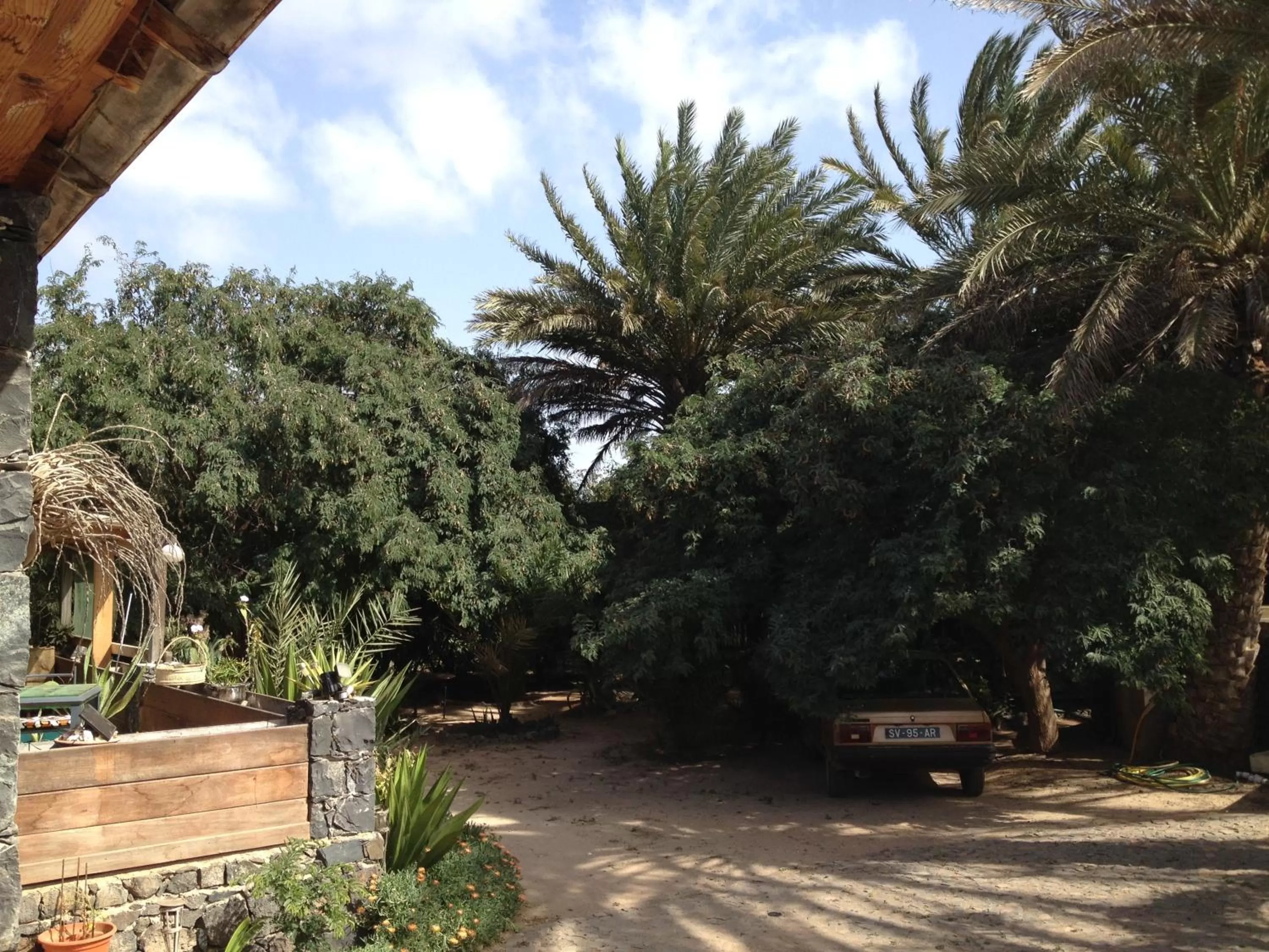 Garden in Villa Morabeza Guest House