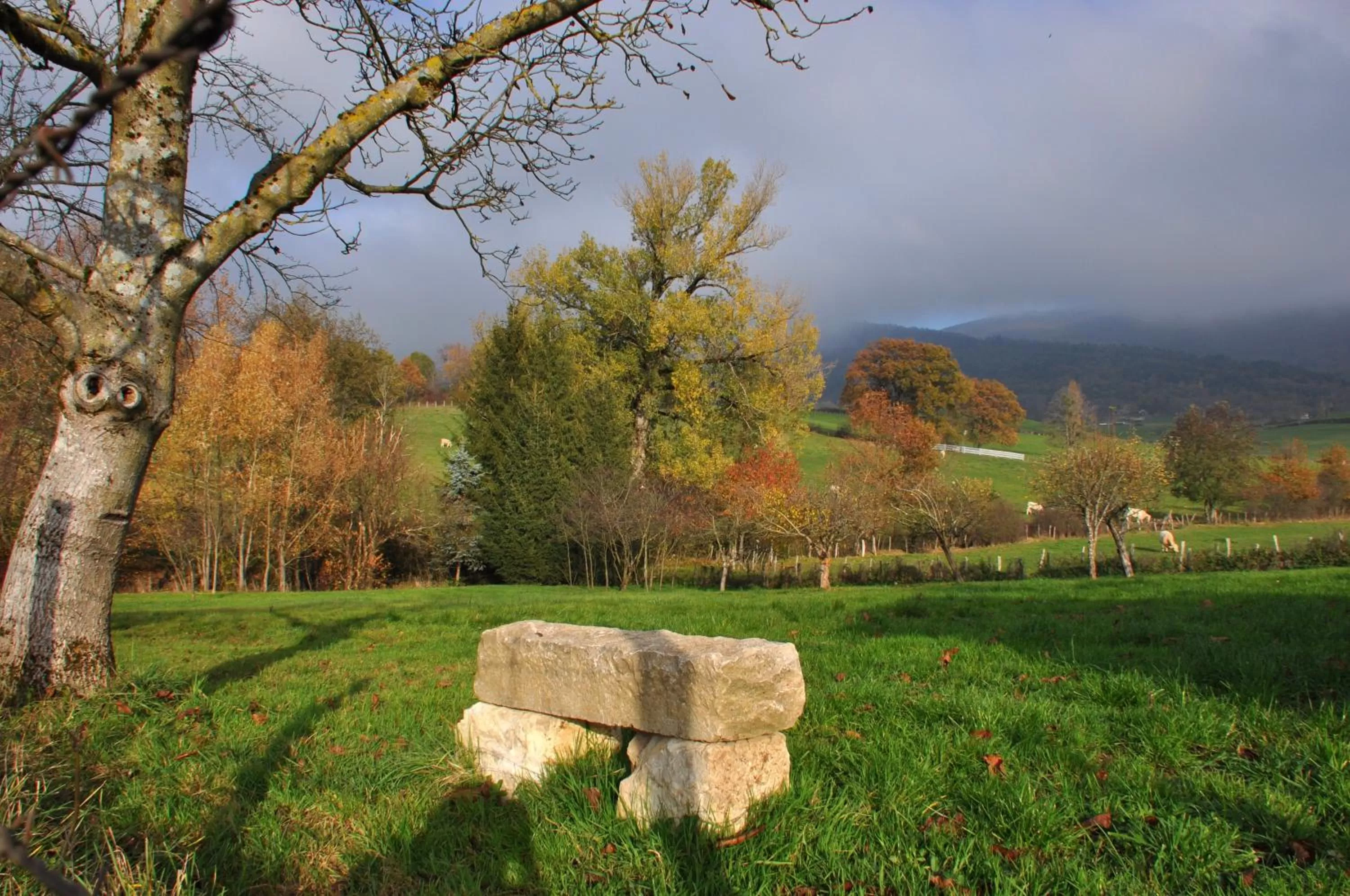 Garden in Terres de la Grange B&B