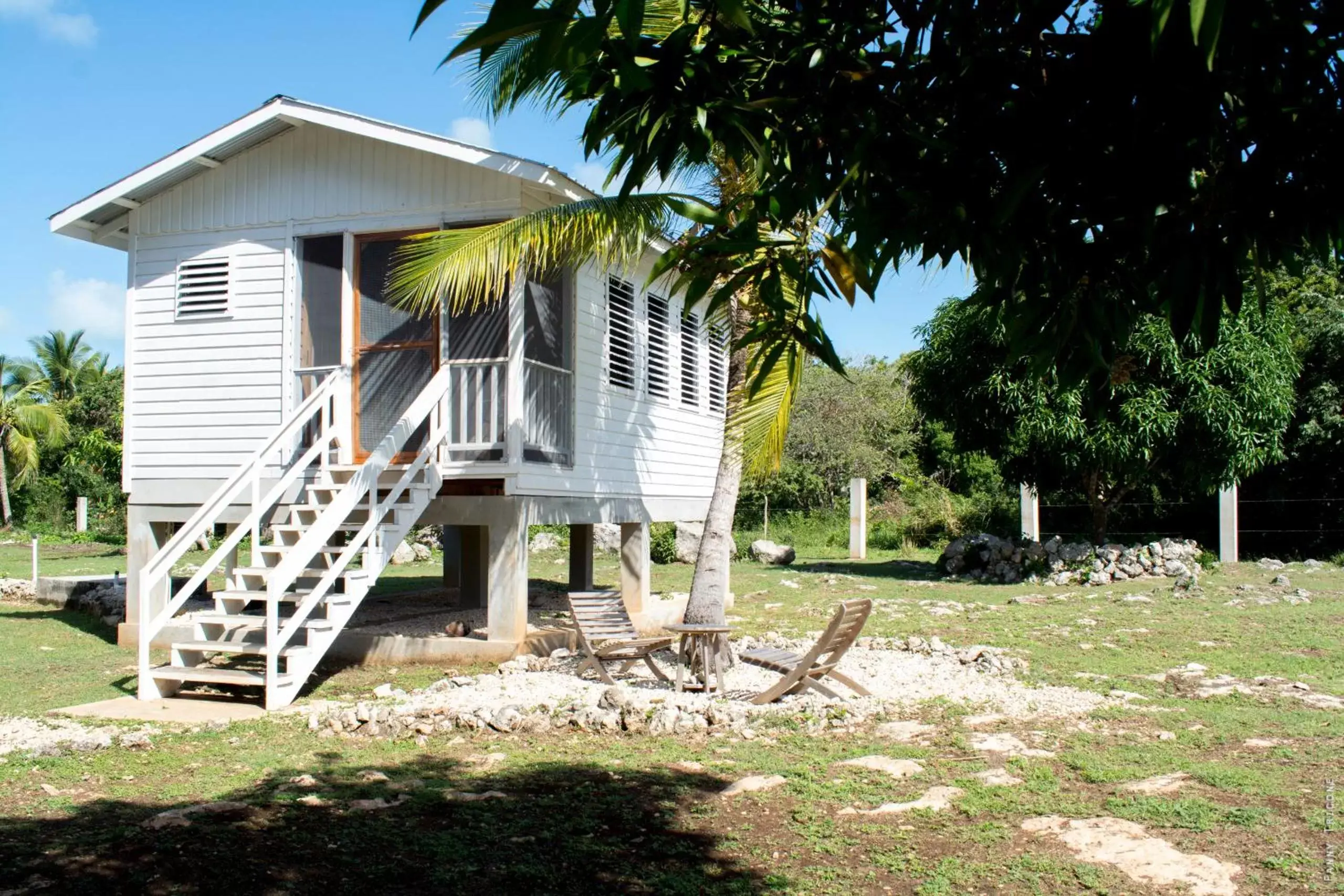 Bungalow with Garden View in Horse Cottage Bungalow with Garden View in Horse Cottage