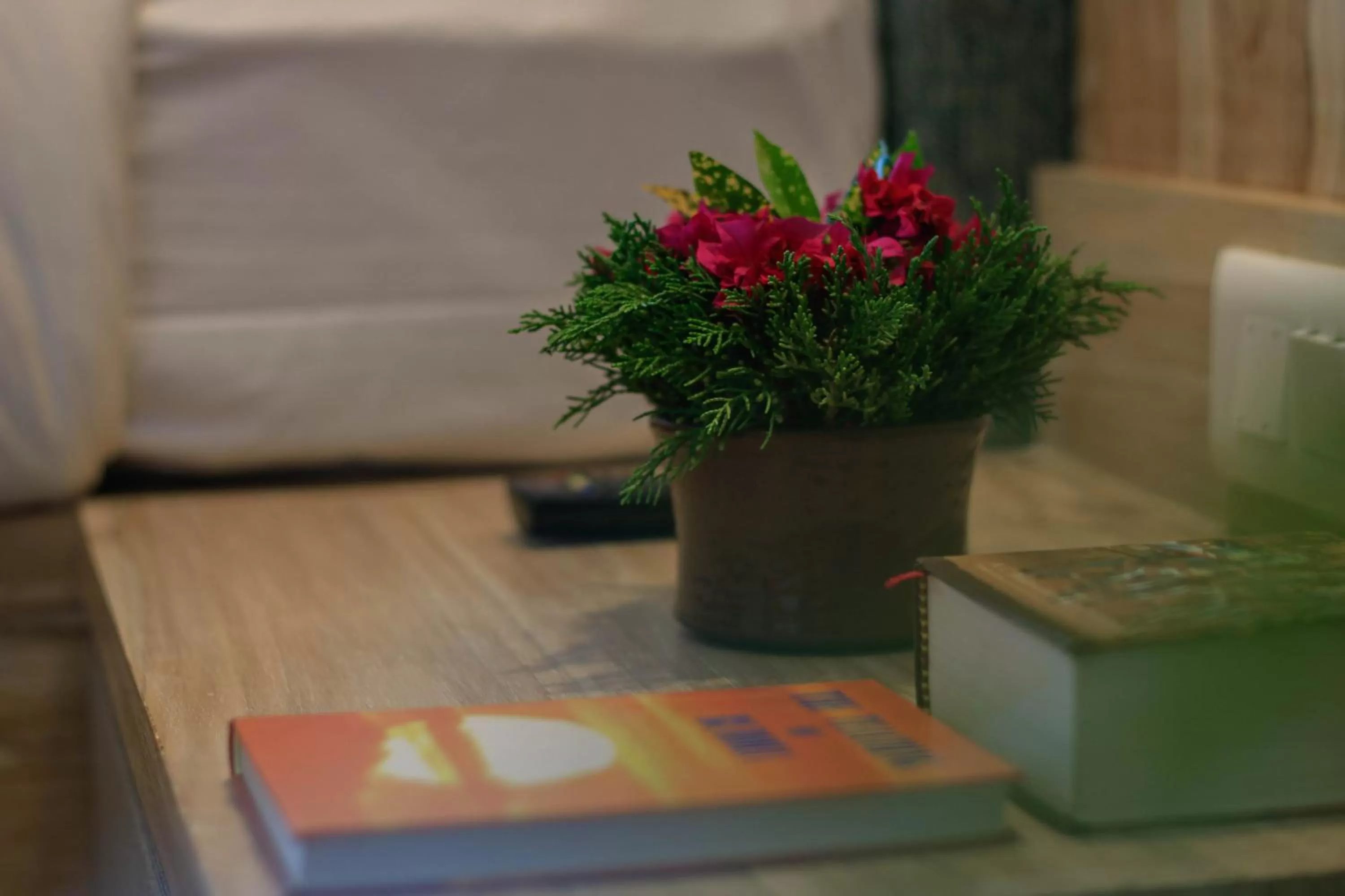 Other in Hotel Barahi Pokhara