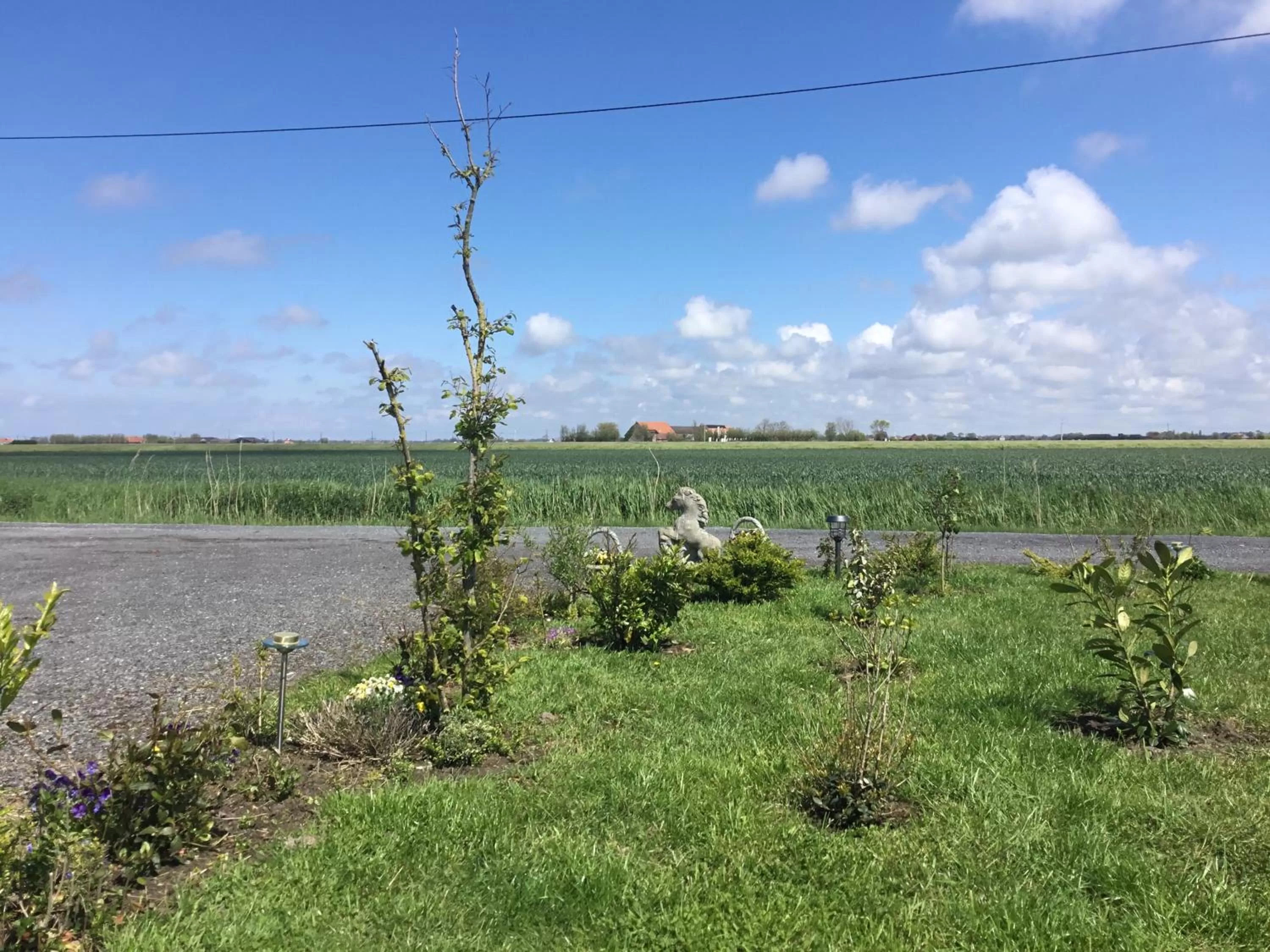 Natural landscape in casa matteo de haan Grote straat 152