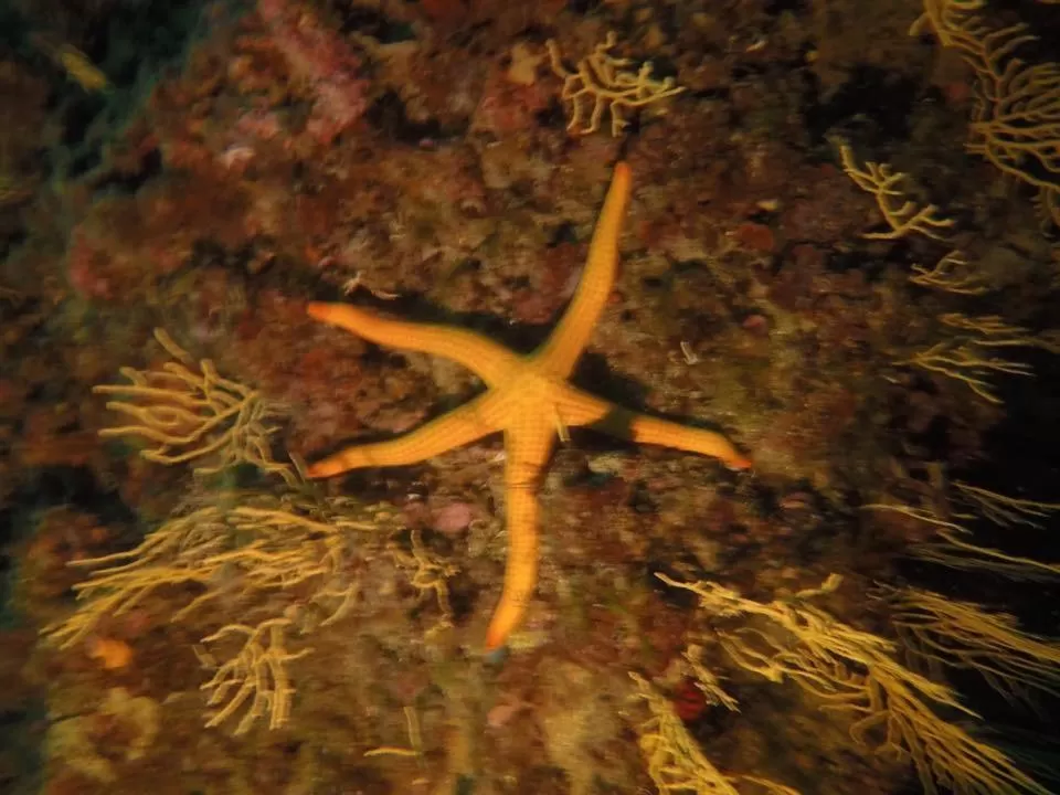 Entertainment in La Villa Del Patrizio