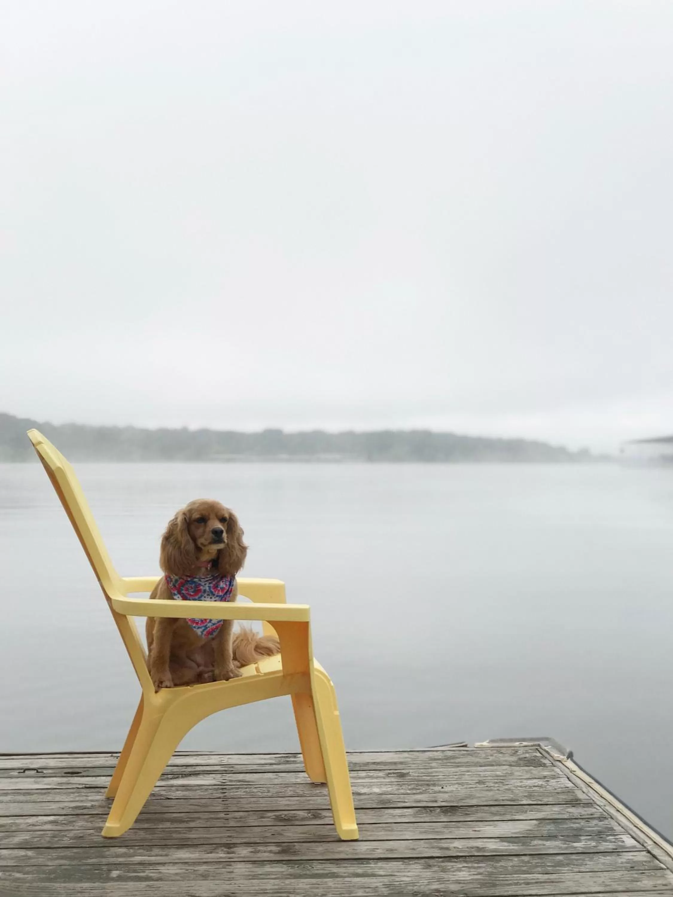 Spring in Calm Waters Resort