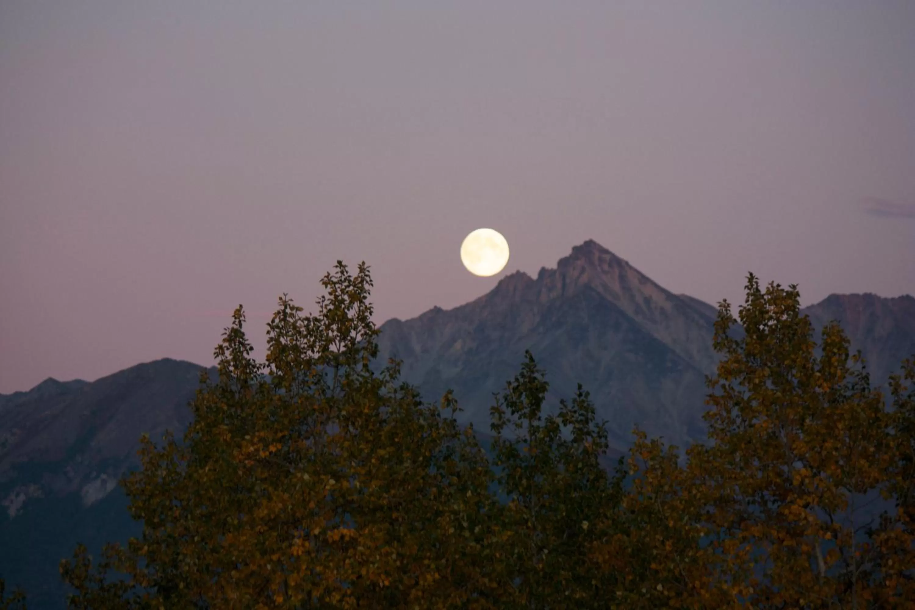 Mountain view in Fishhook Sunrise B&B