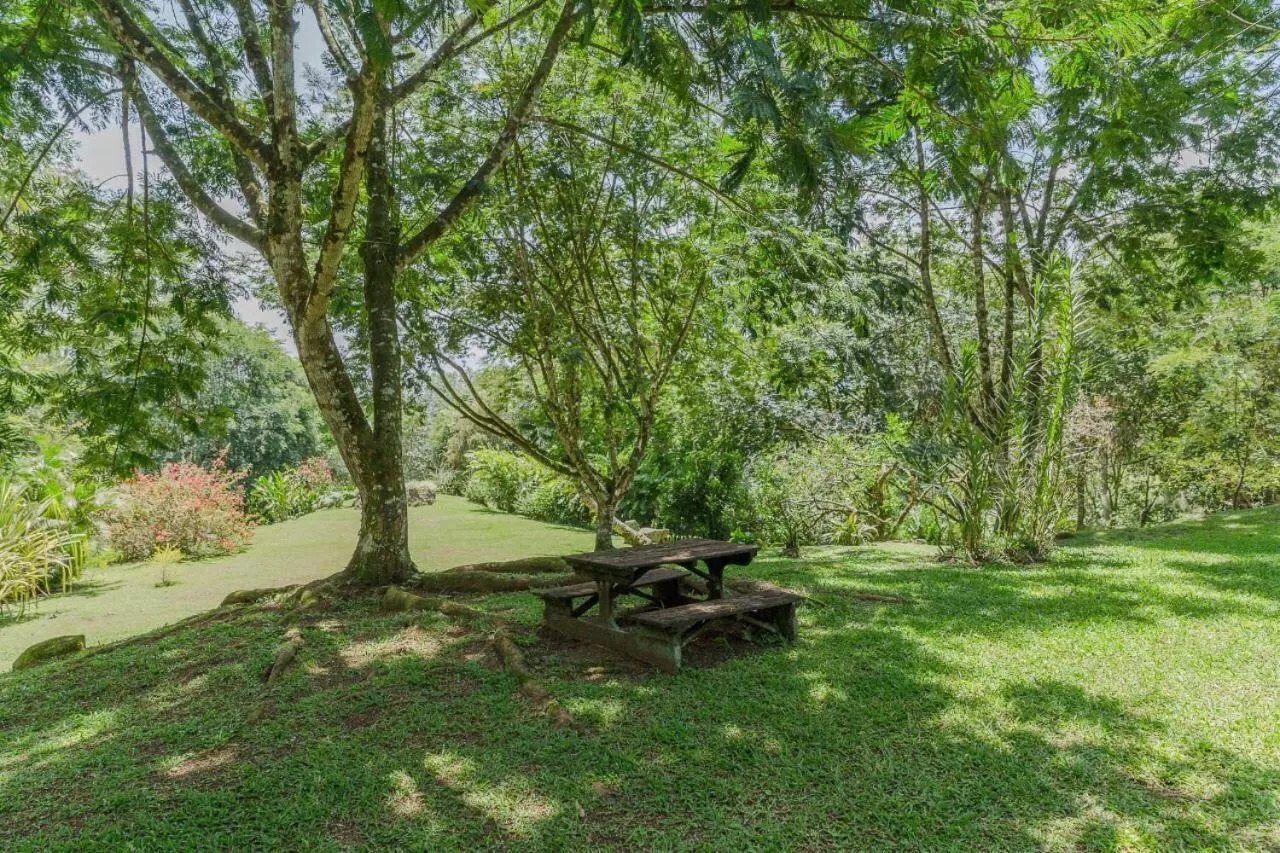 Garden in Hospedaje La Naciente