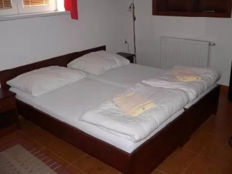 Classic Double or Twin Room in Penzion PKO Nitra