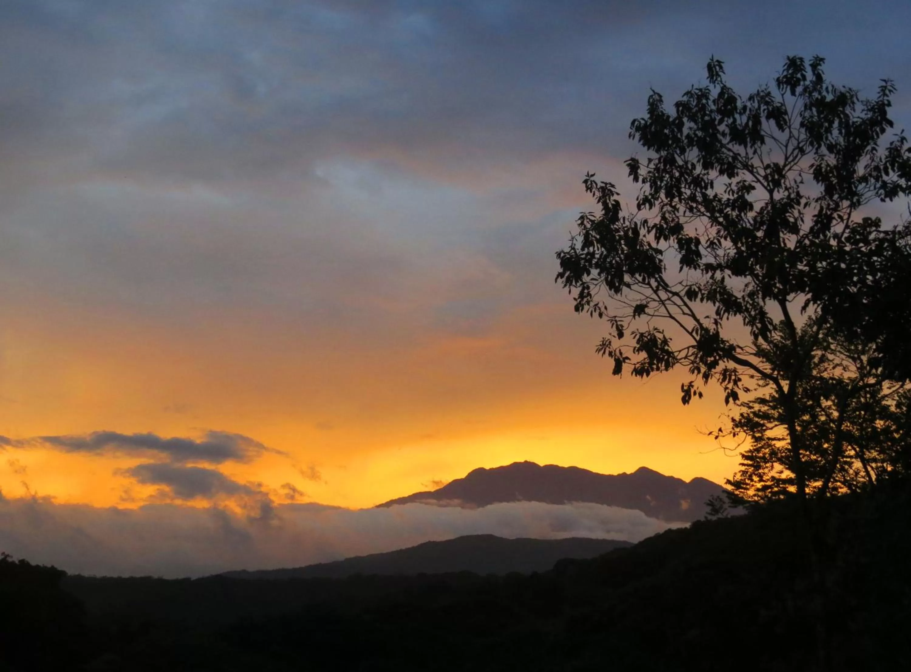 Garden, Natural Landscape in Cabanas Rio Encantado