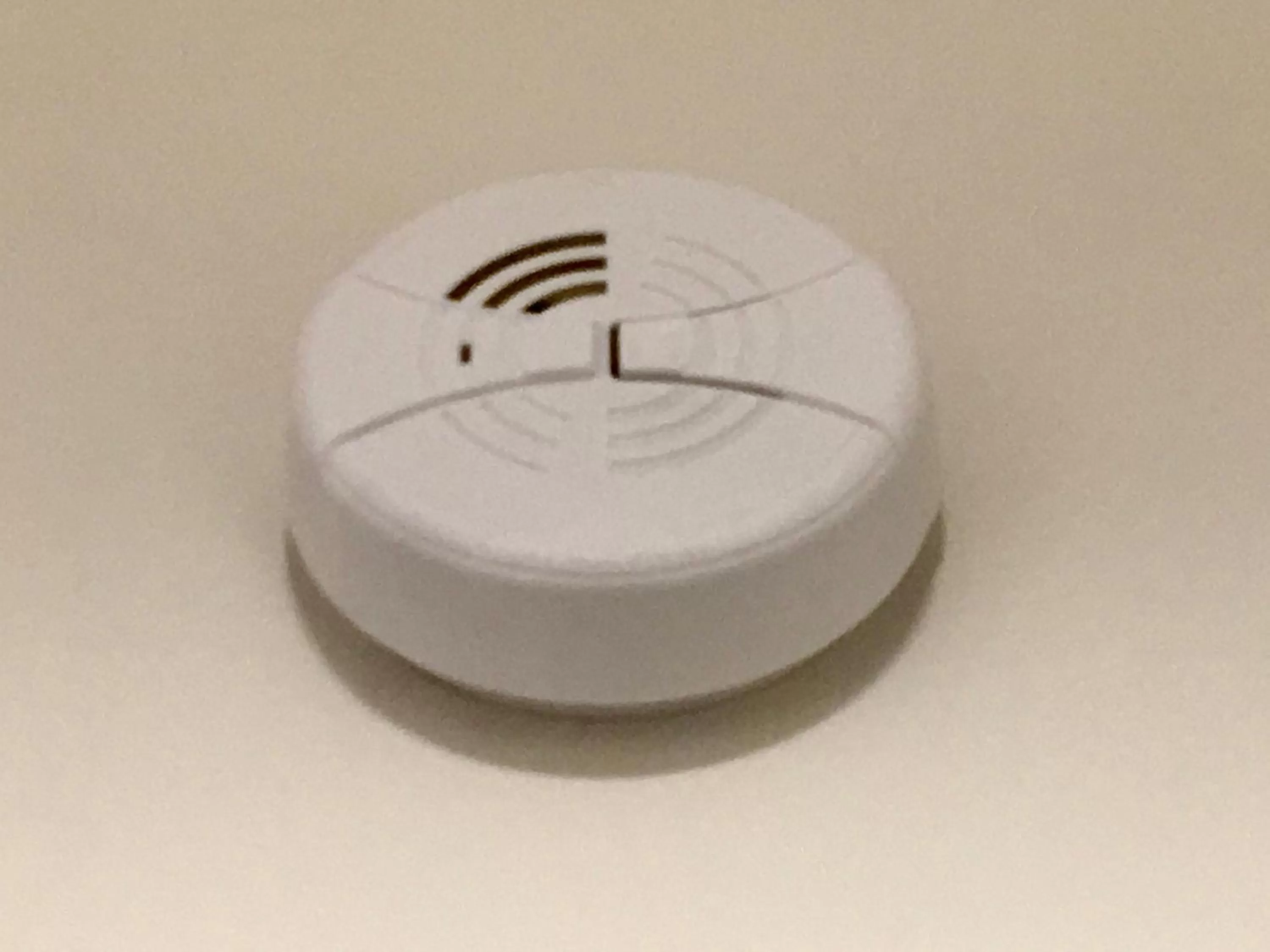 Decorative detail in Herbal Inn Suites